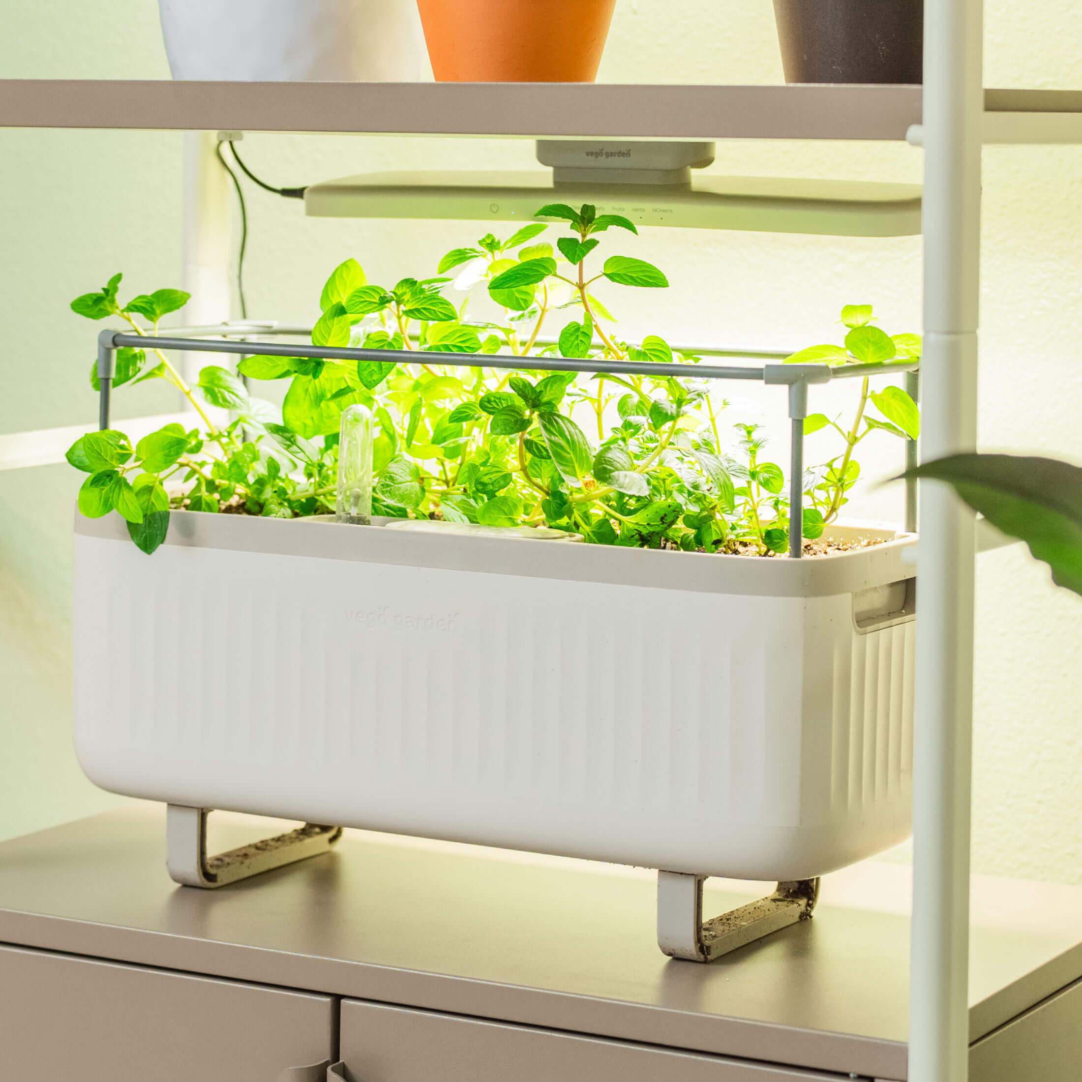 house plant storage 4 Tier Grow Light Garden with Storage