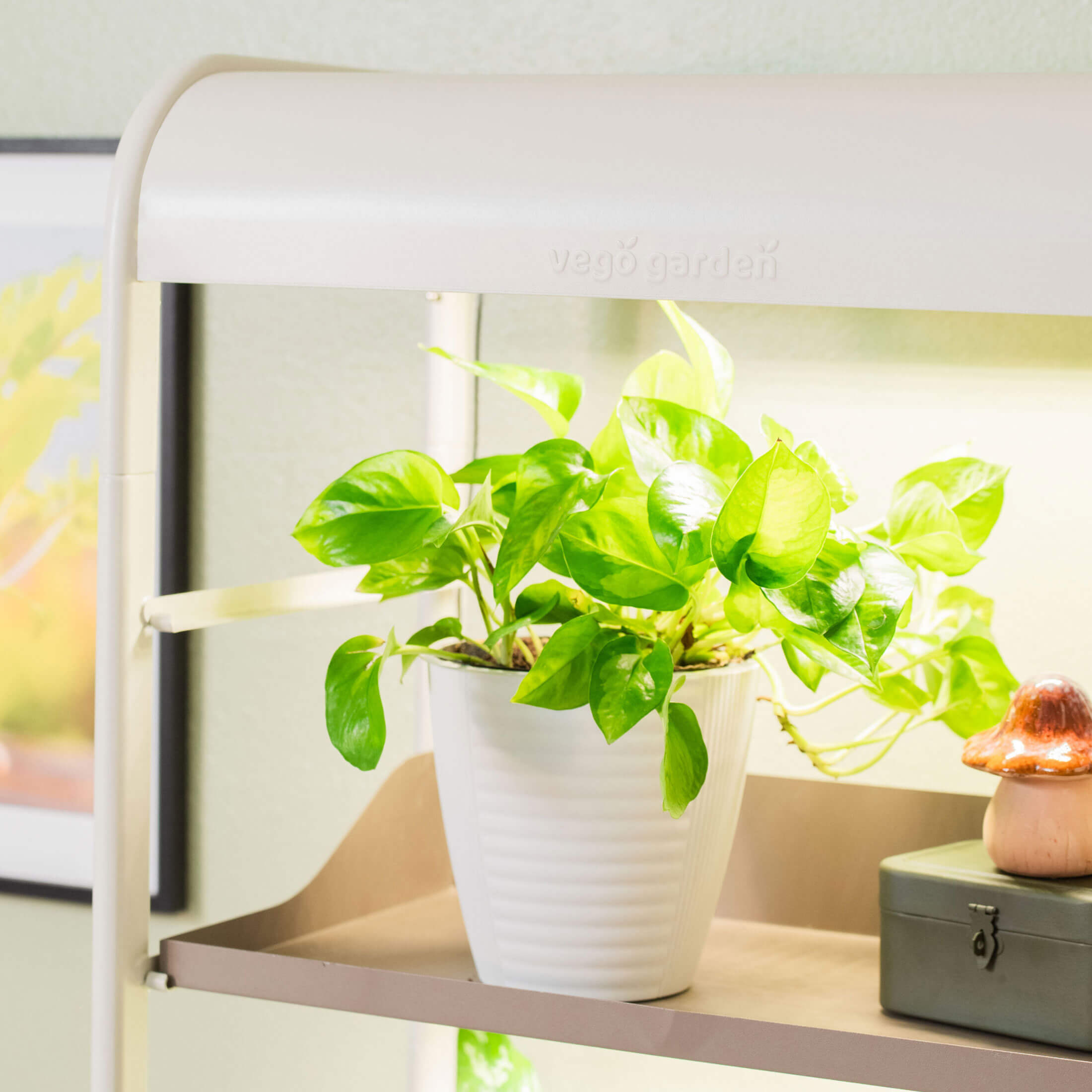 indoor planter with light 4 Tier Grow Light Garden Pro