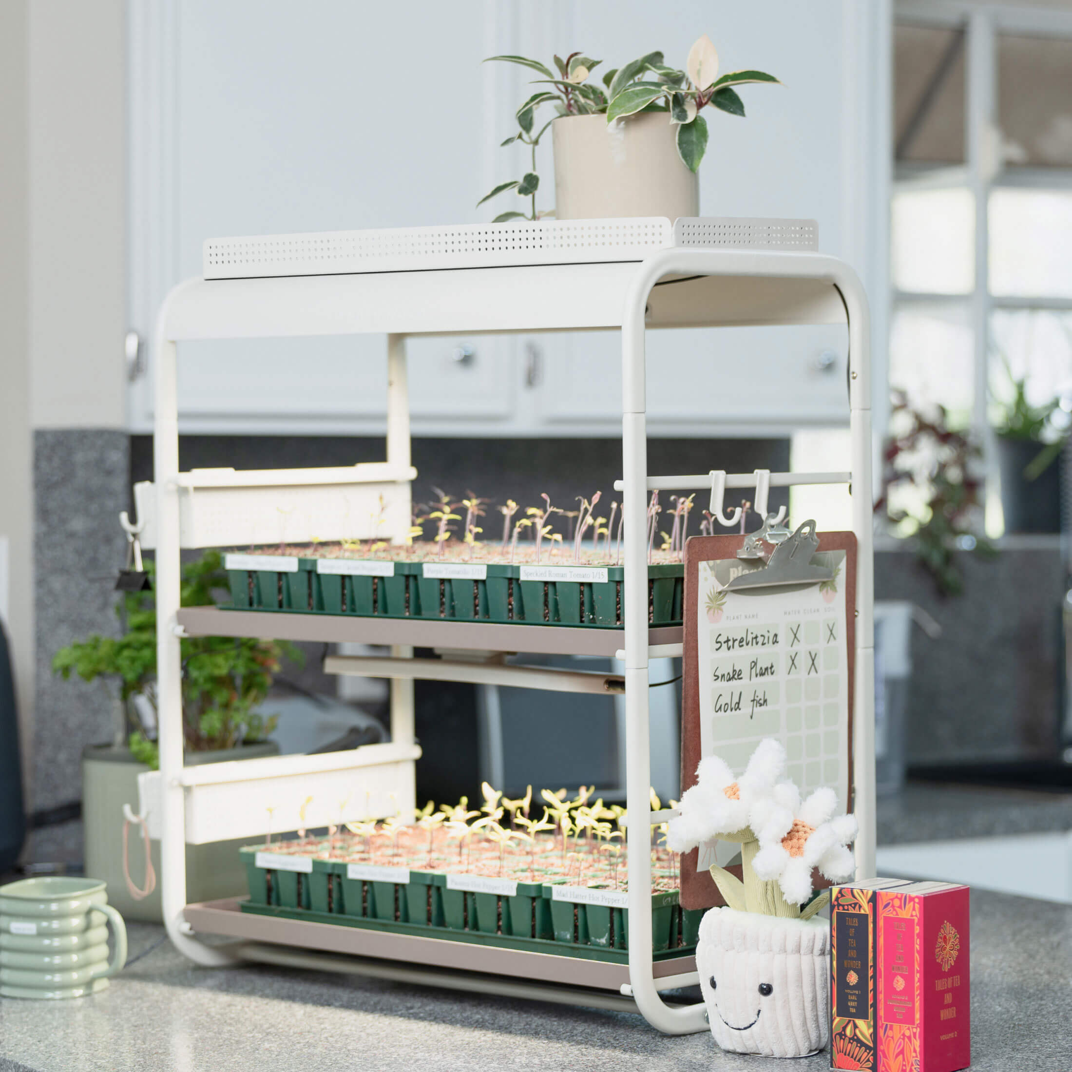 Standard Accessories Kit