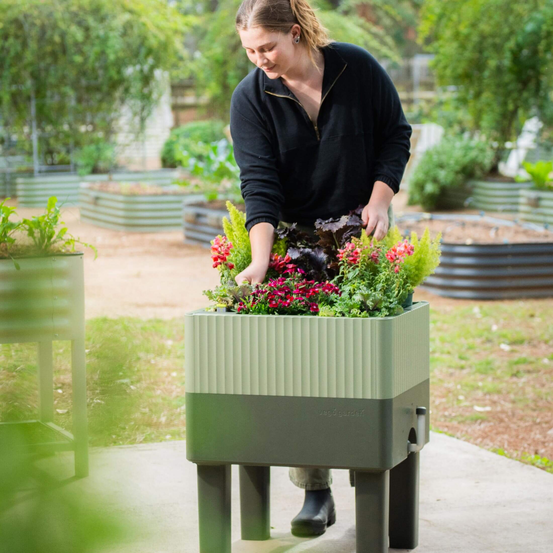self watering standing planter The EZCube Self-watering Planter 21" x 24" Elevated