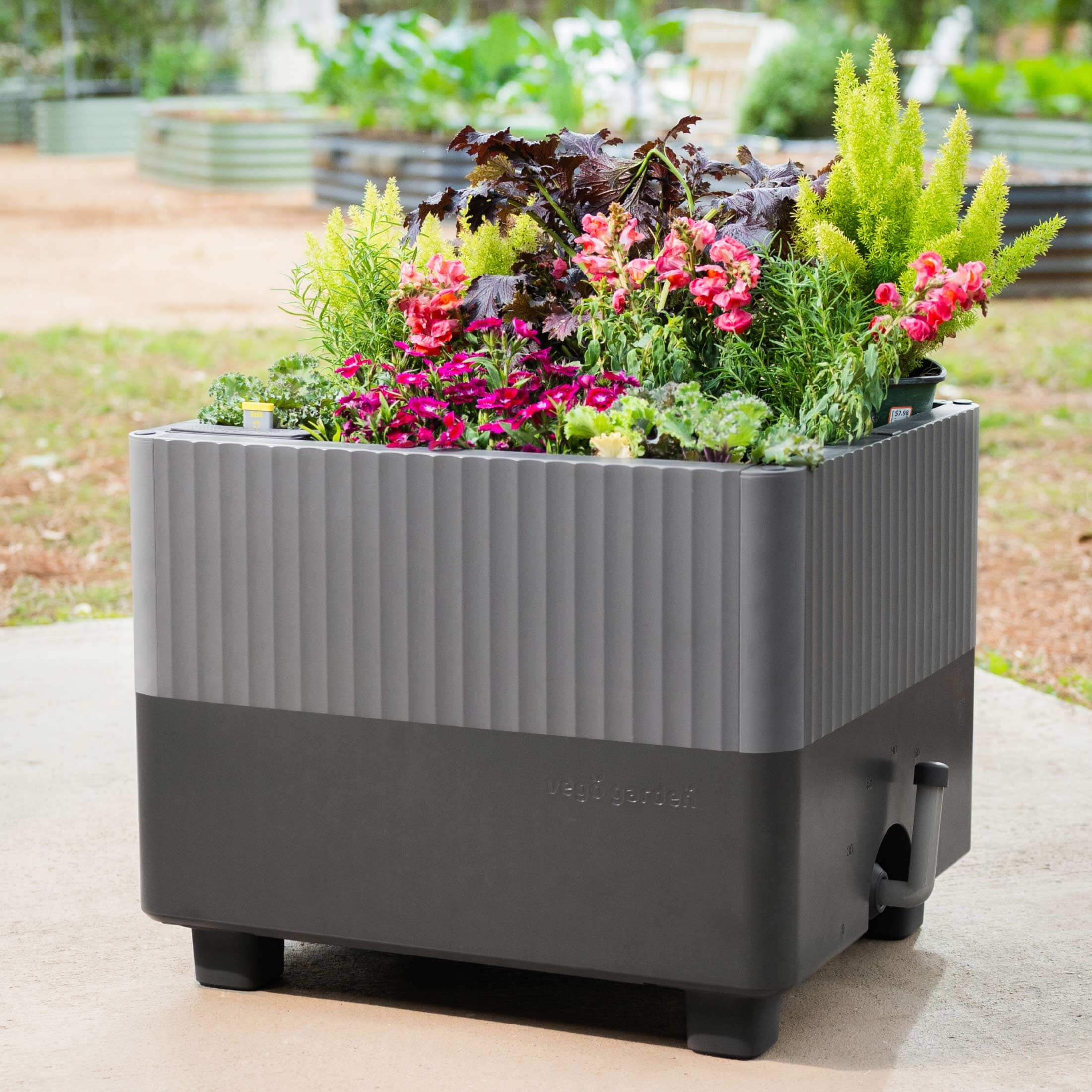 self-watering elevated planter box 2' x 8' The EZCube Self-watering Planter 21" x 24" Elevated