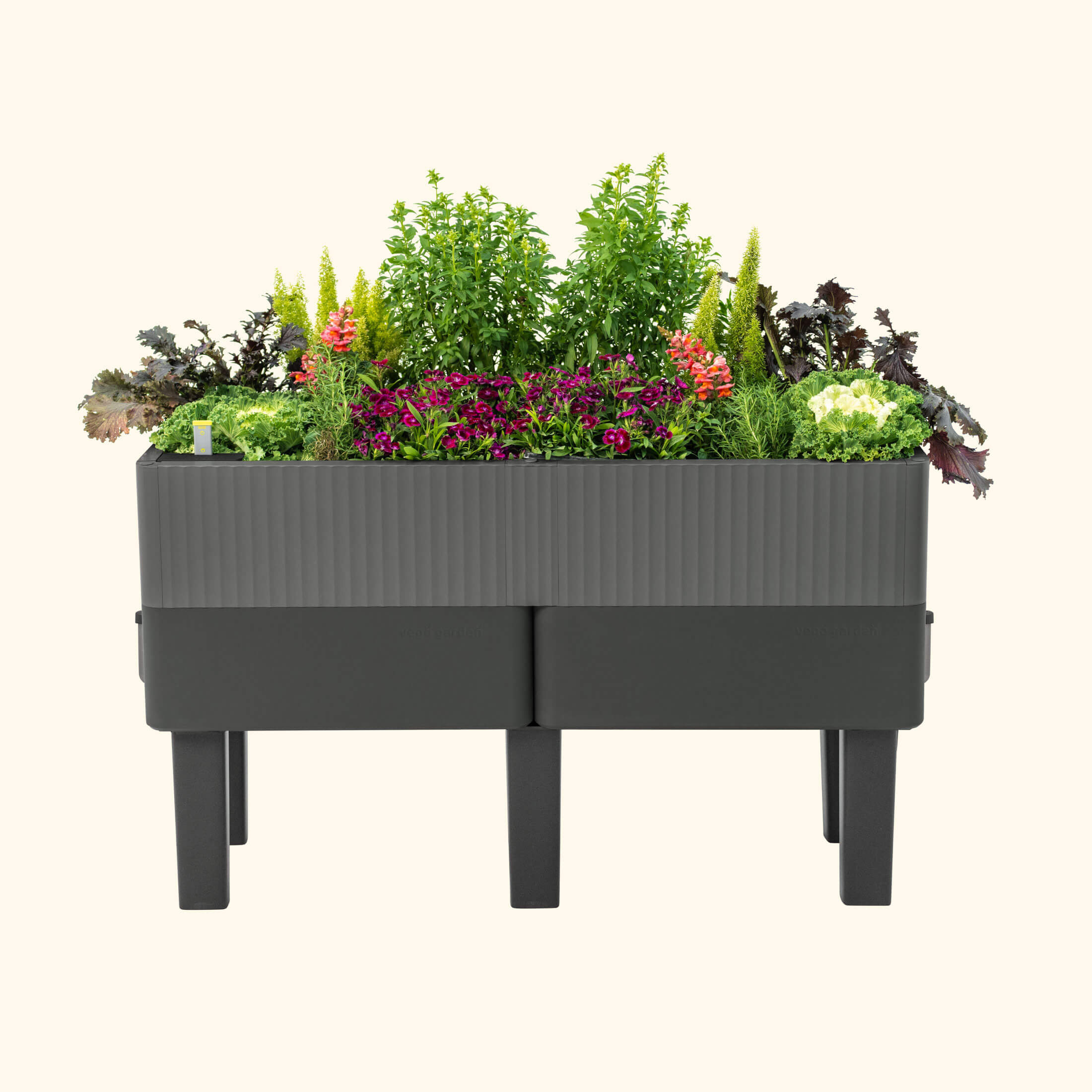 quadgrow self watering planter The EZCube Self-watering Planter 21" x 48" Elevated – Team Grow