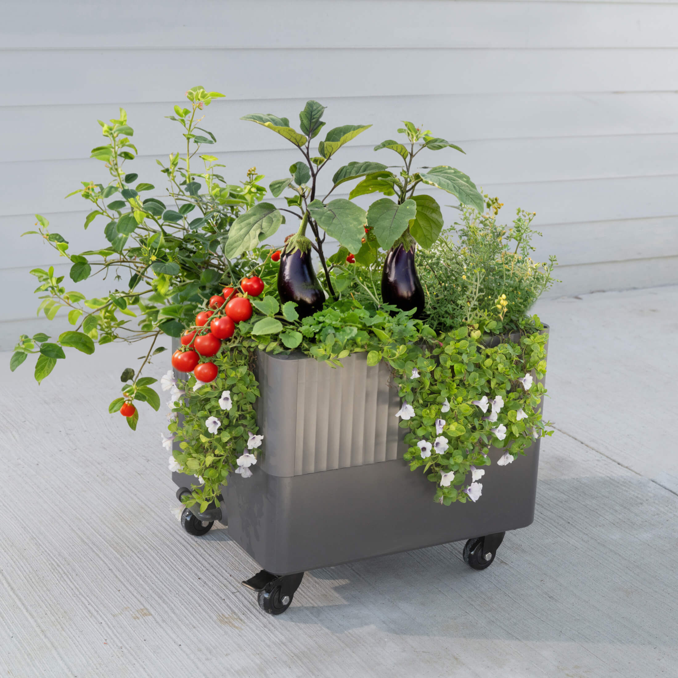 EZCube Self-Watering Rolling Planter 21” x 24”