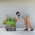 EZCube Self-Watering Rolling Planter 21” x 24”