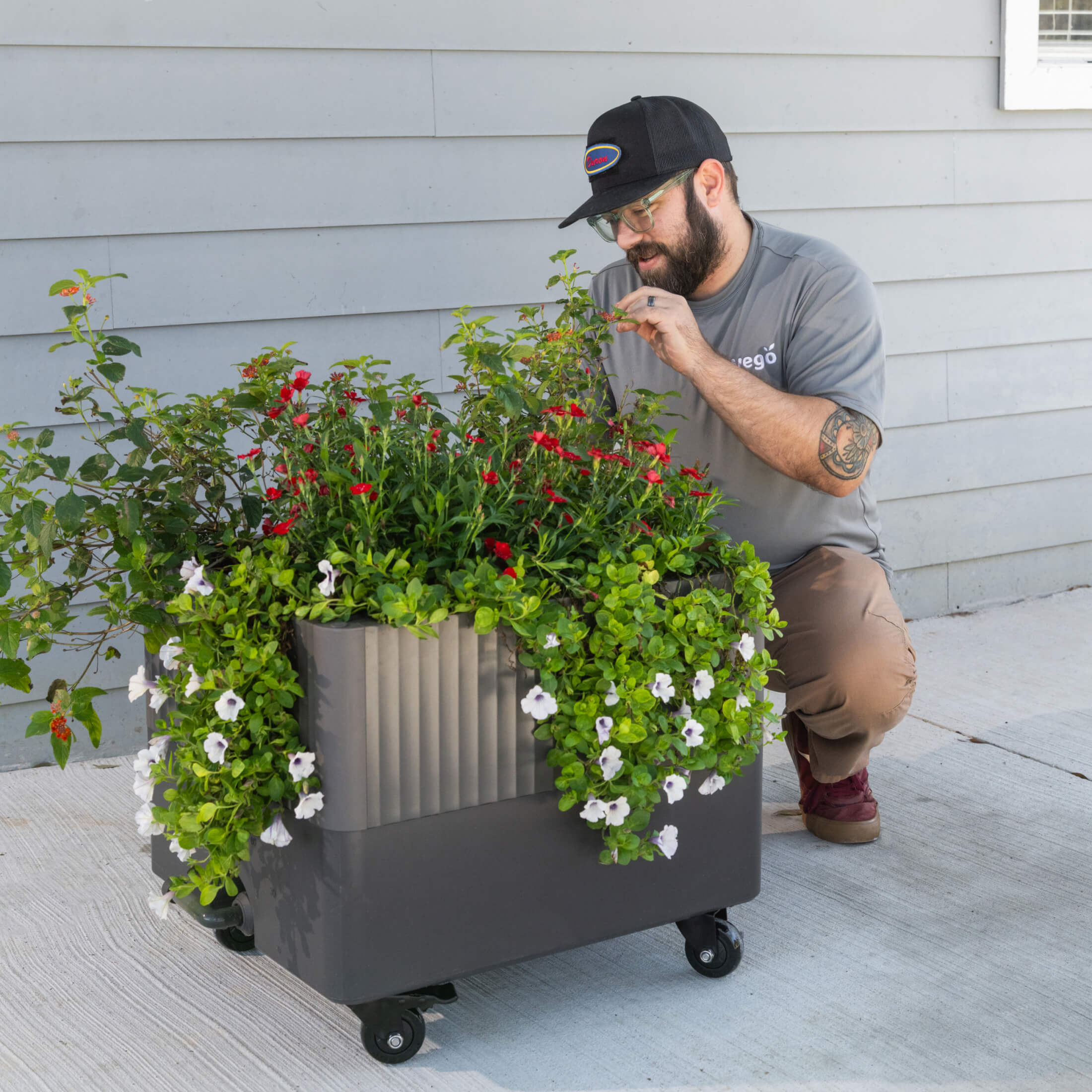 EZCube Self-Watering Rolling Planter 21” x 24”
