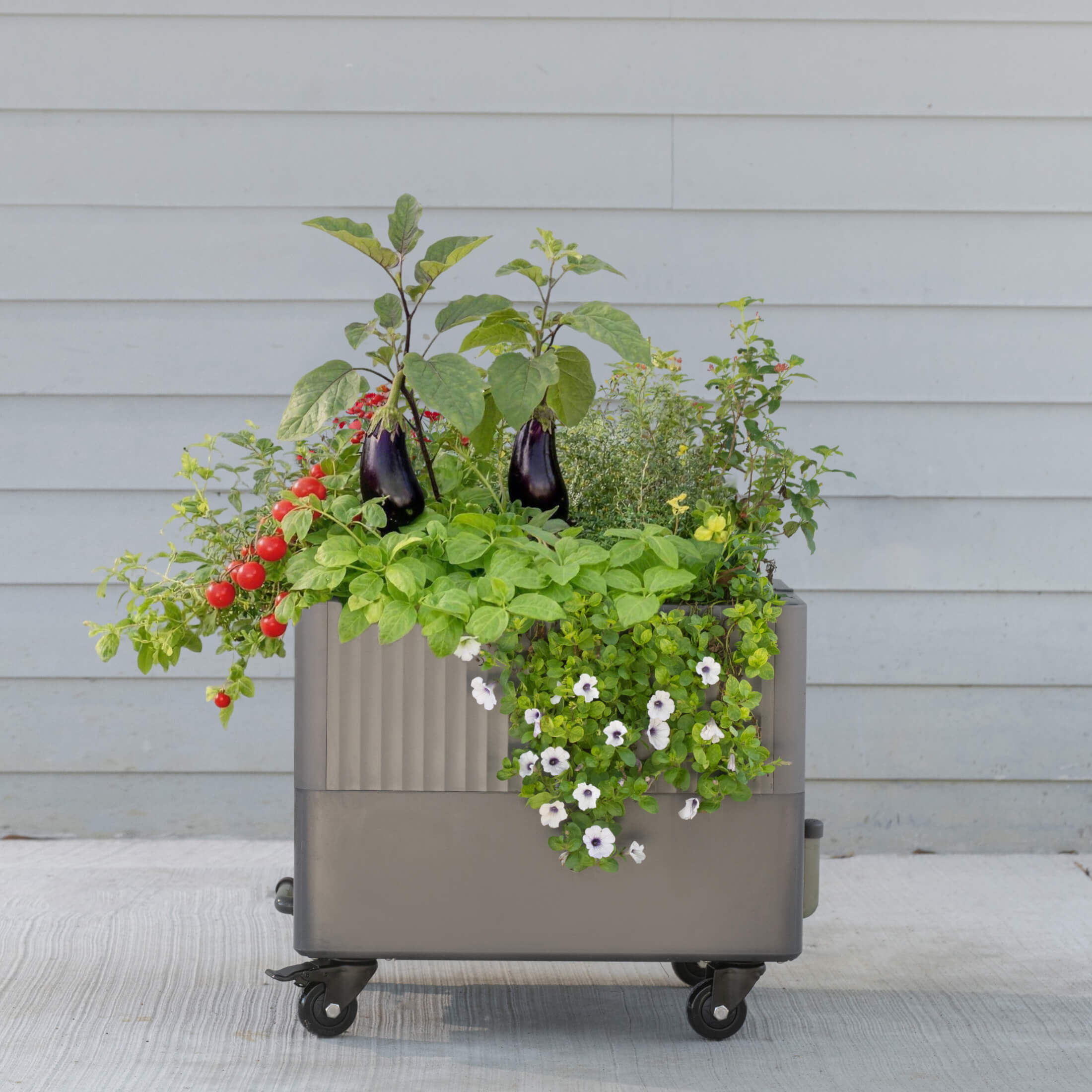 EZCube Self-Watering Rolling Planter 21” x 24”
