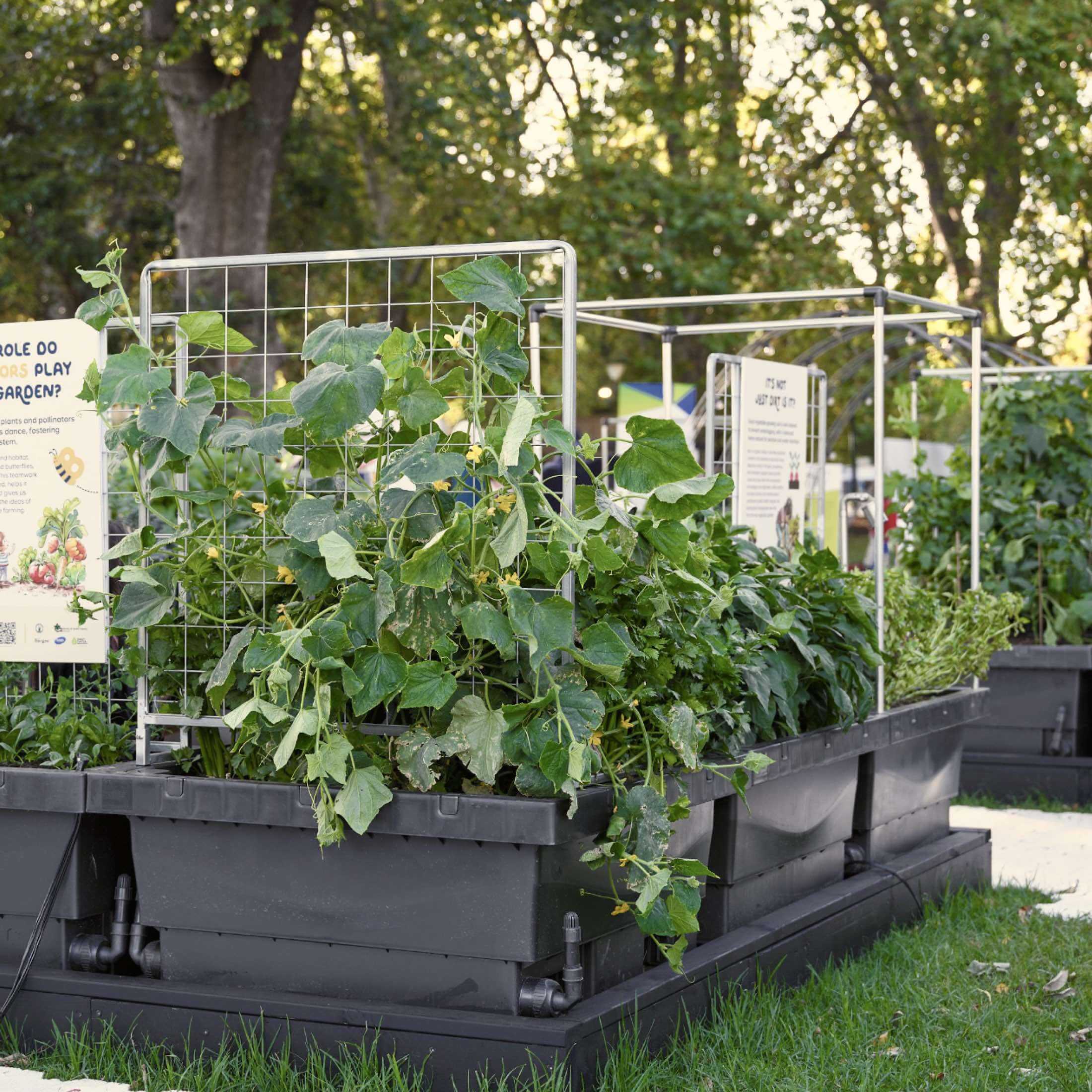 Foodcube™ Large - The Next Generation of Self Watering Raised Beds