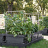 Foodcube™ Large - The Next Generation of Self Watering Raised Beds