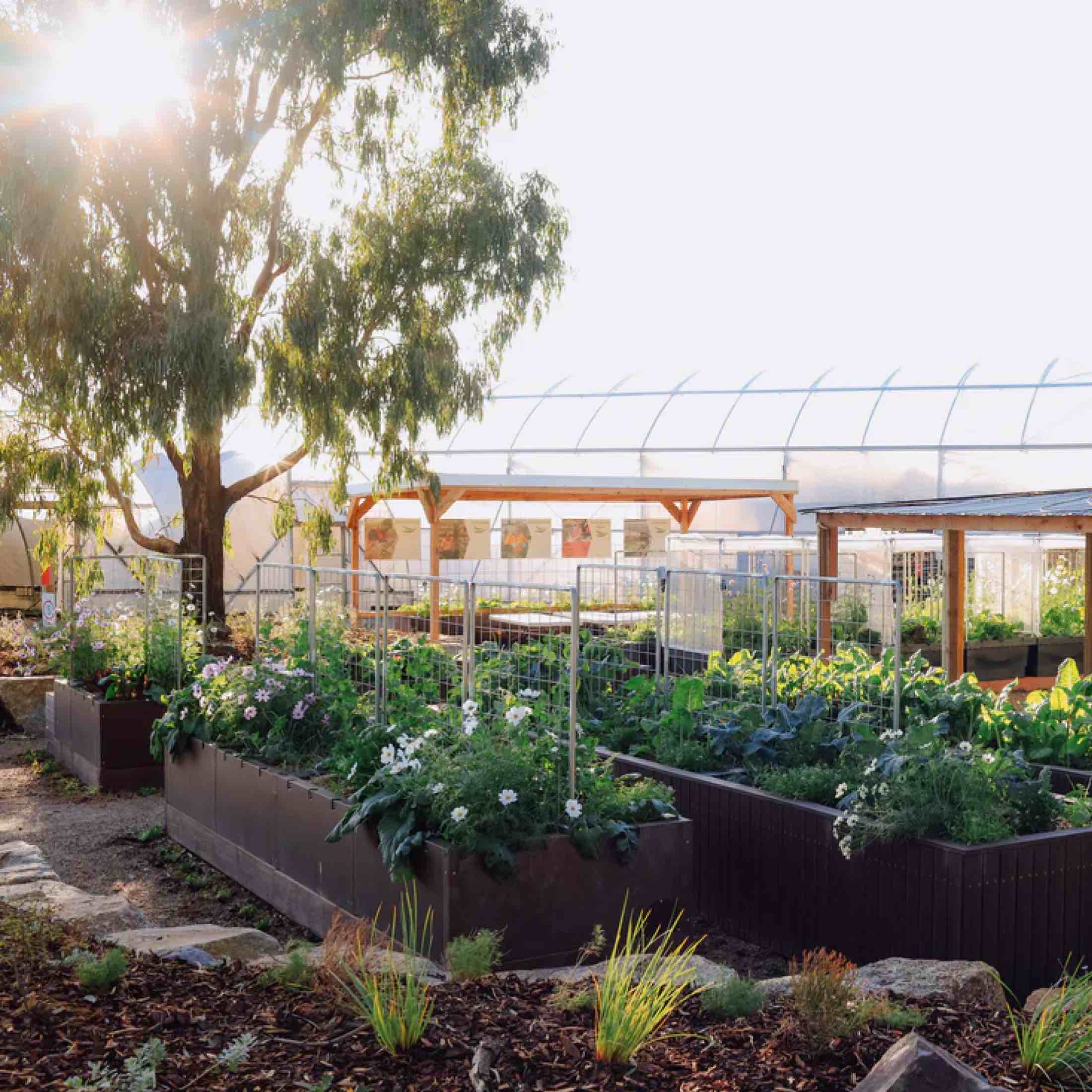 Foodcube™  Slim- The Next Generation of Self Watering Raised Garden Elevated