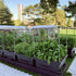 Foodcube™  Wall Trellis