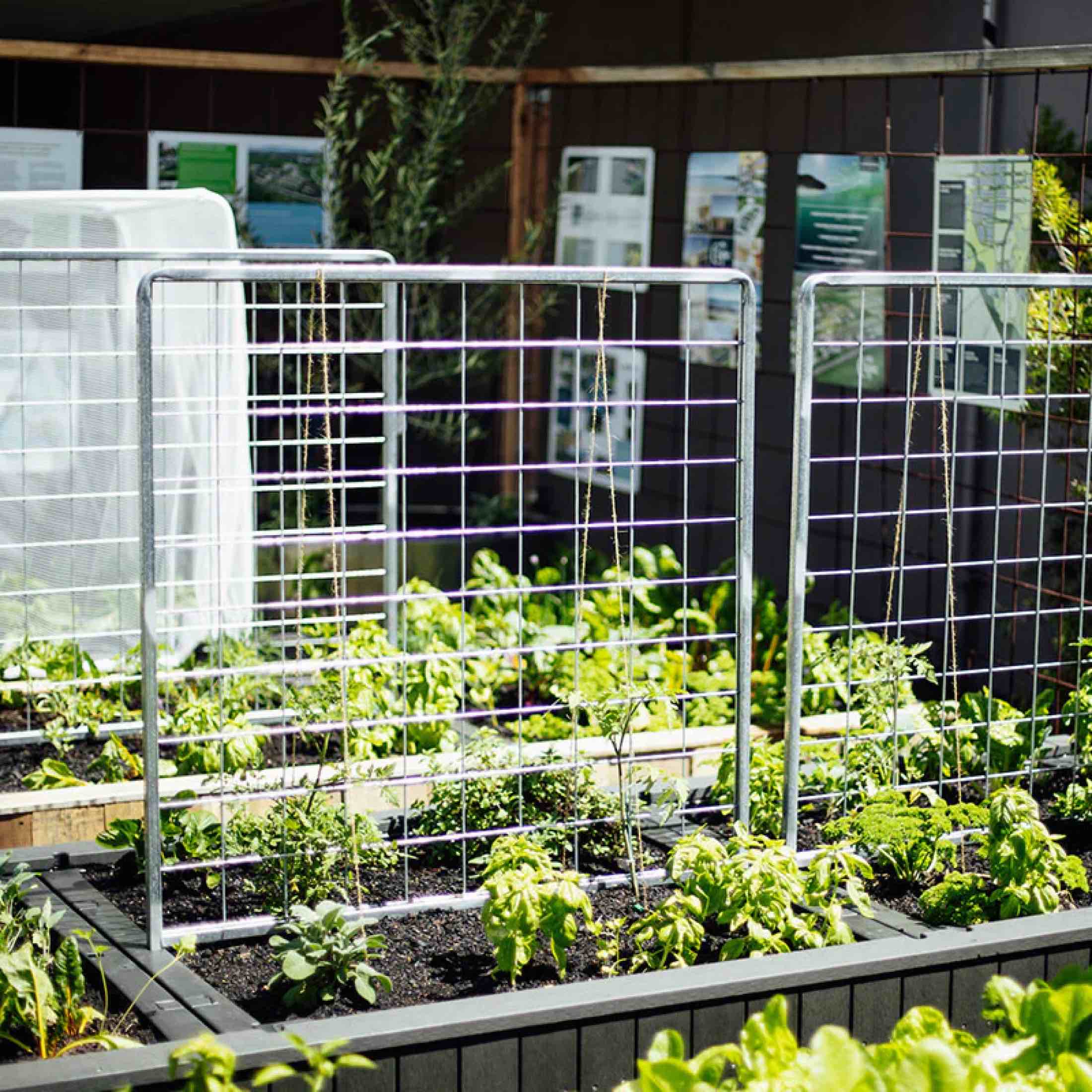 Foodcube™  Wall Trellis