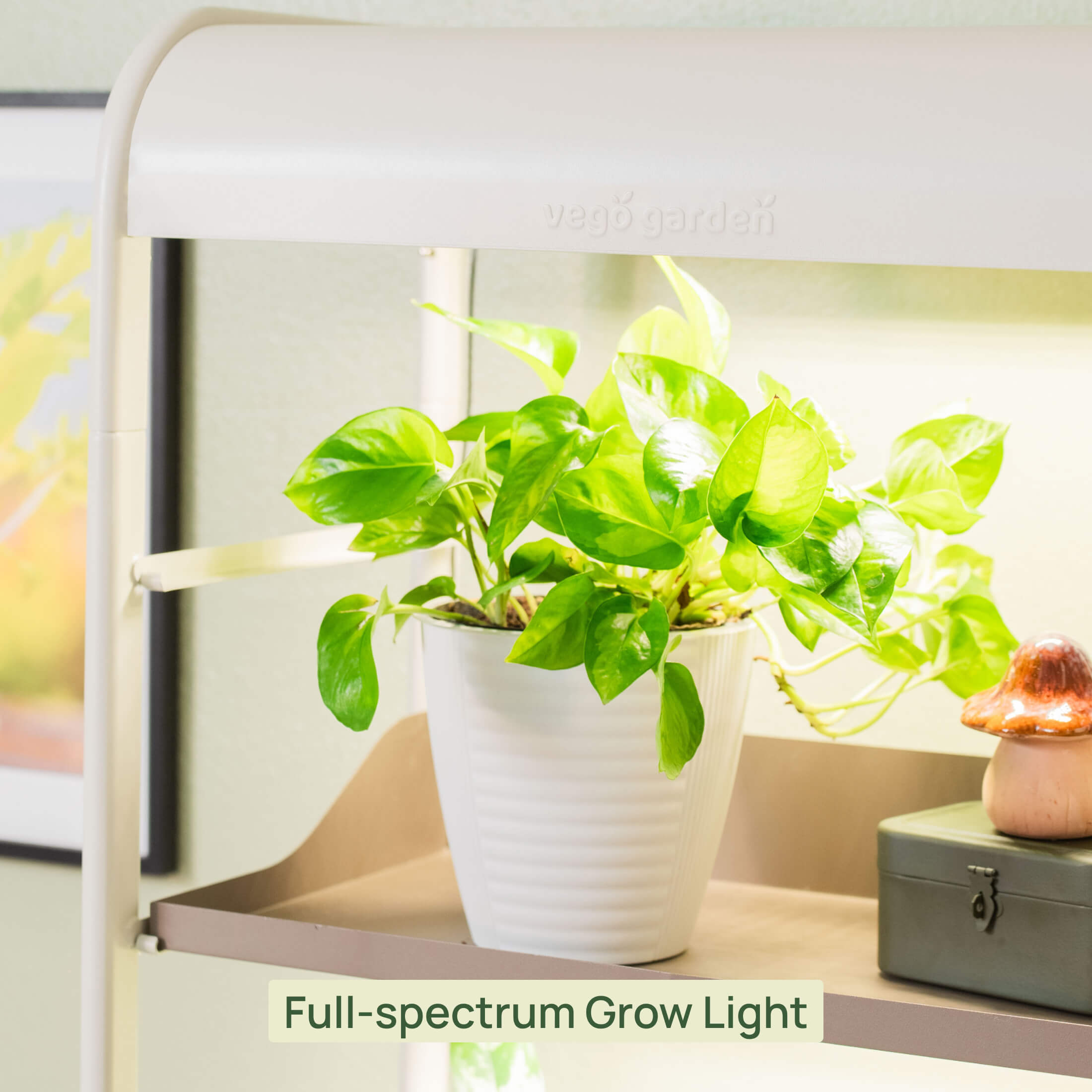 Grow Light Garden 1020 Potting Tray - 2 Pack