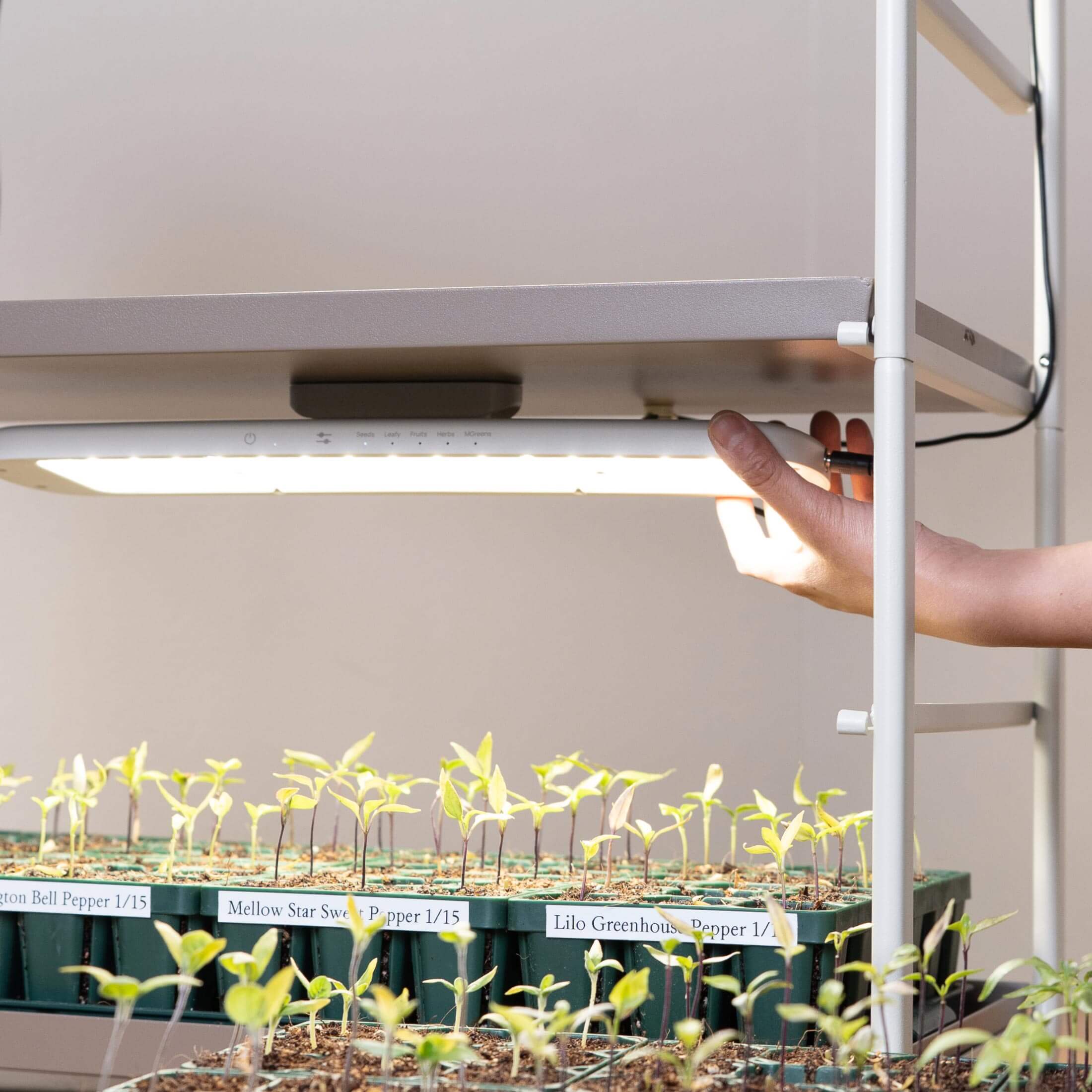 Grow Light Garden Conversion kit