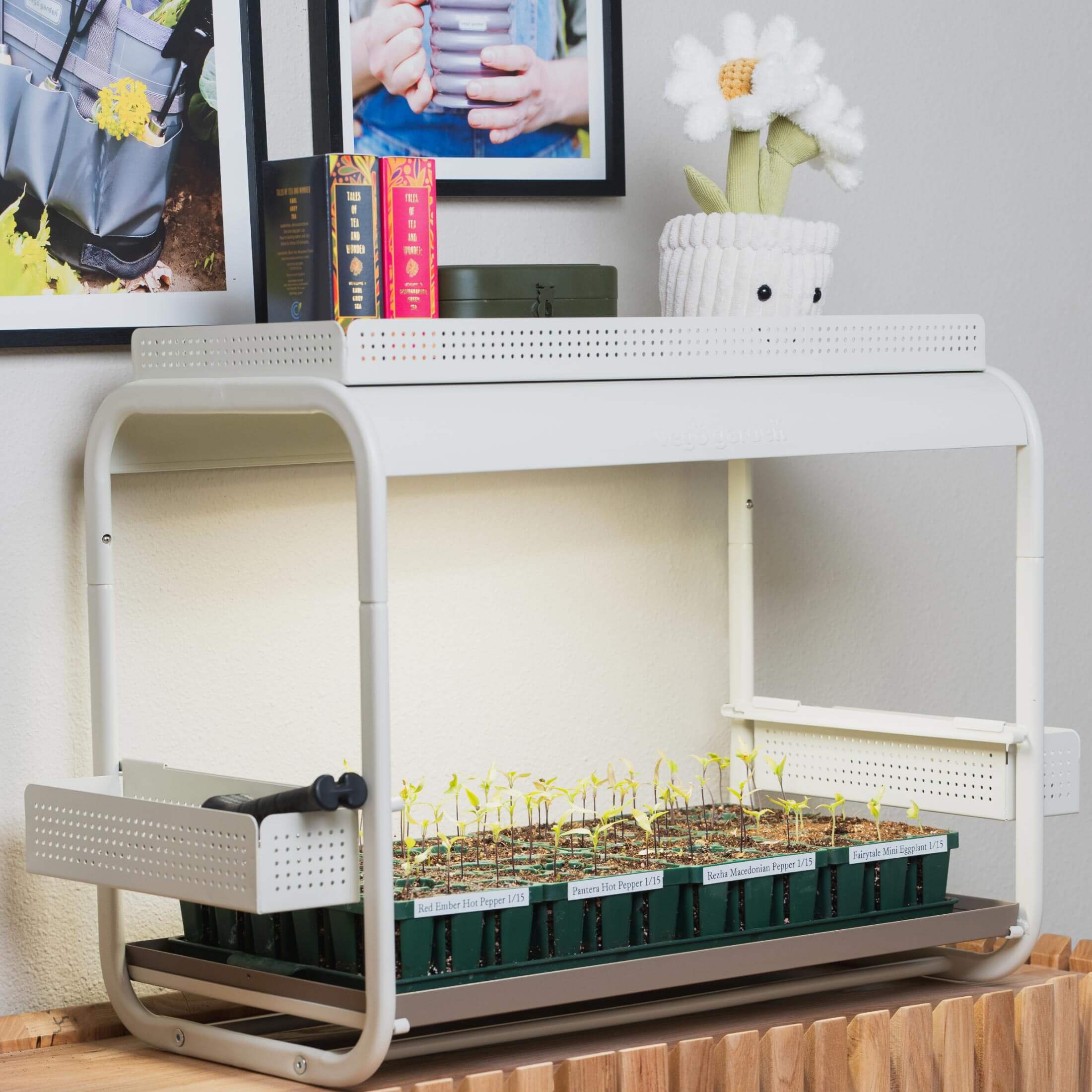 Grow Light Garden Top Tray