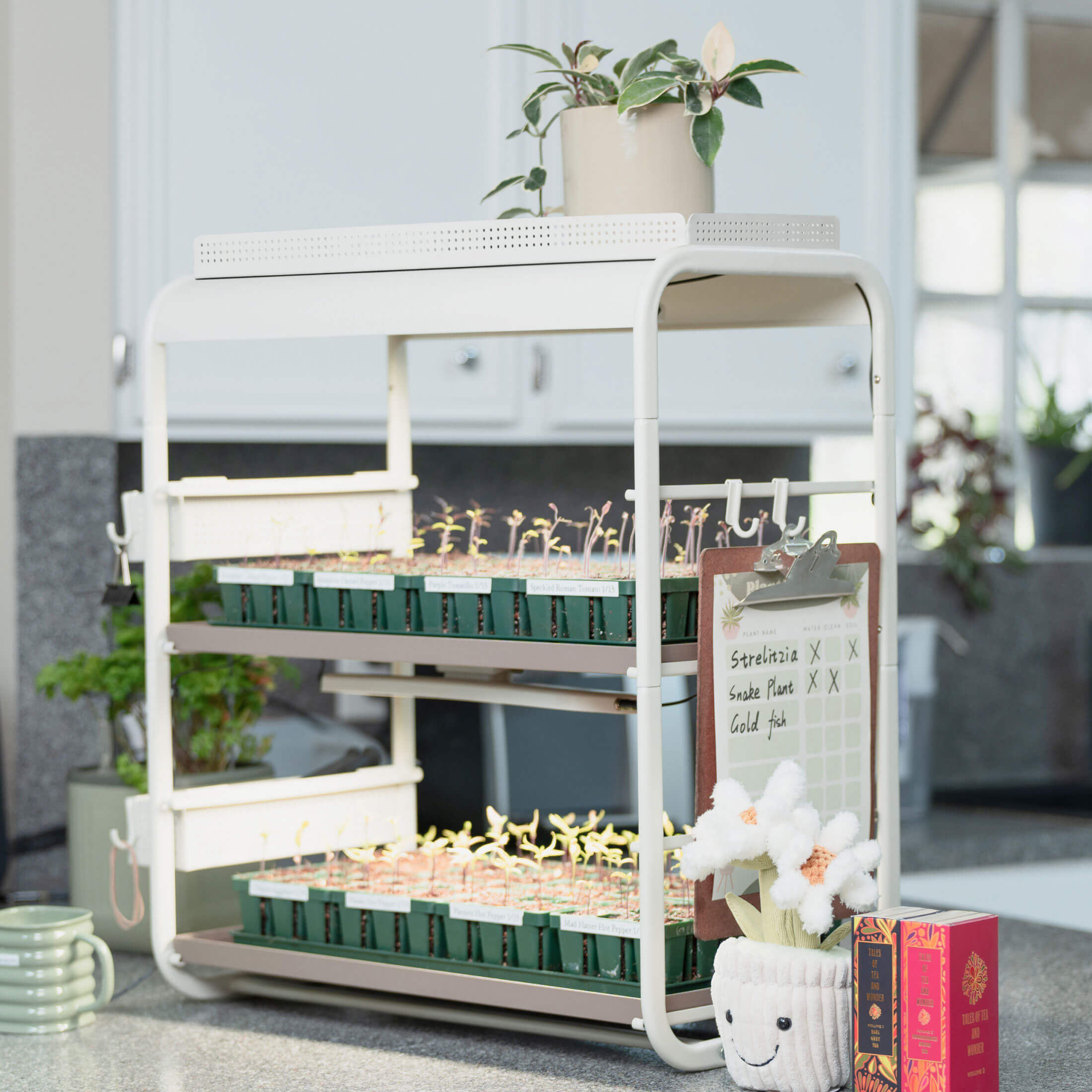 Grow Light Garden Top Tray