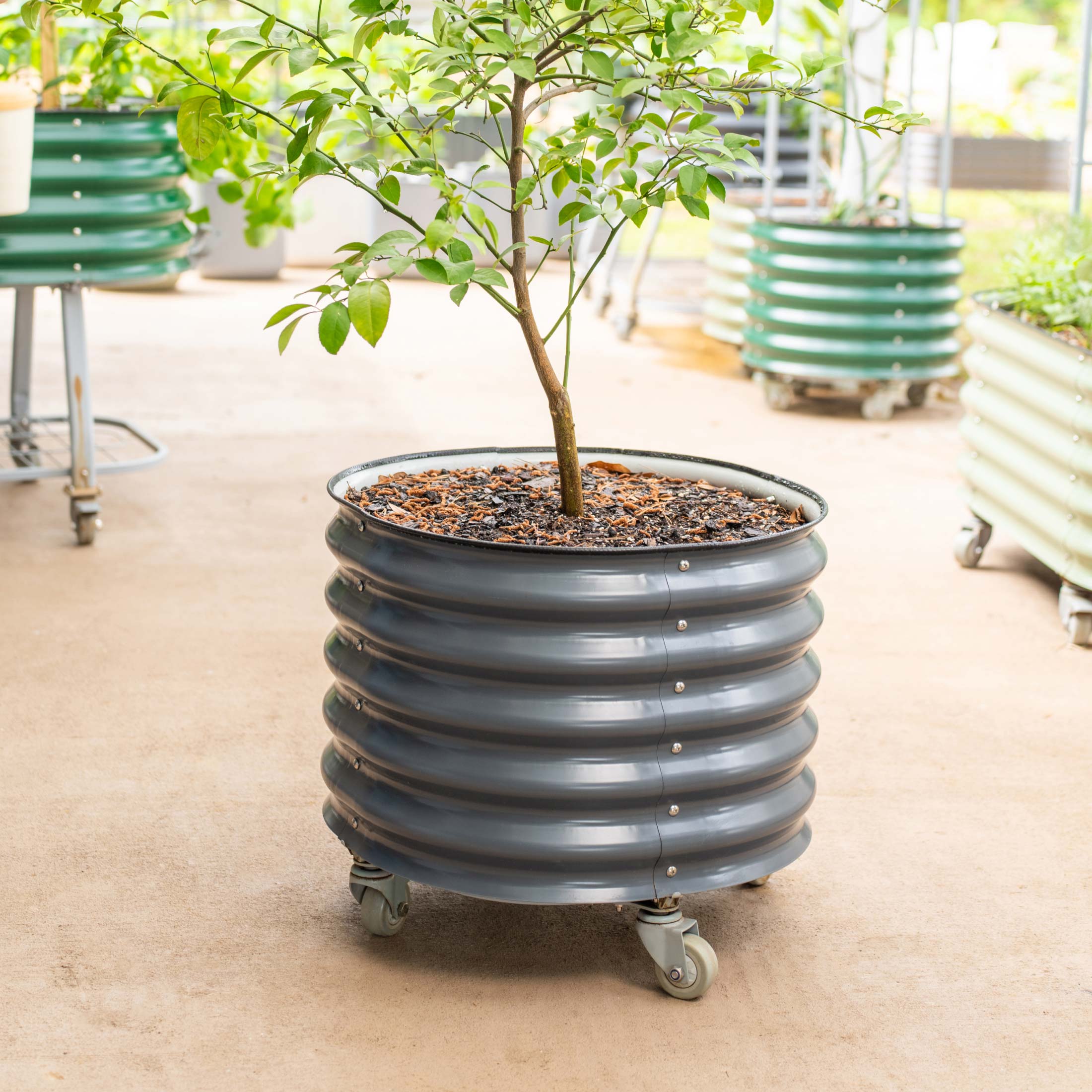 Self-Watering Rolling Planter