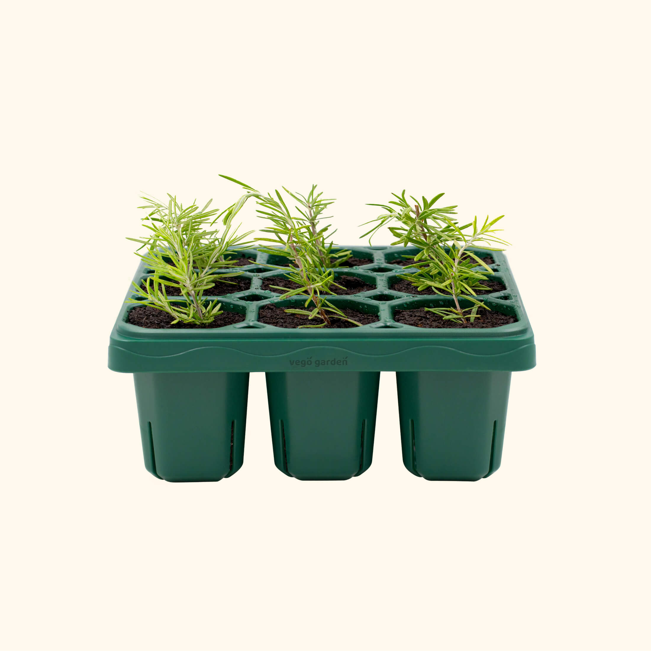 Giga Seedling Trays