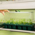 Giga Seedling Trays