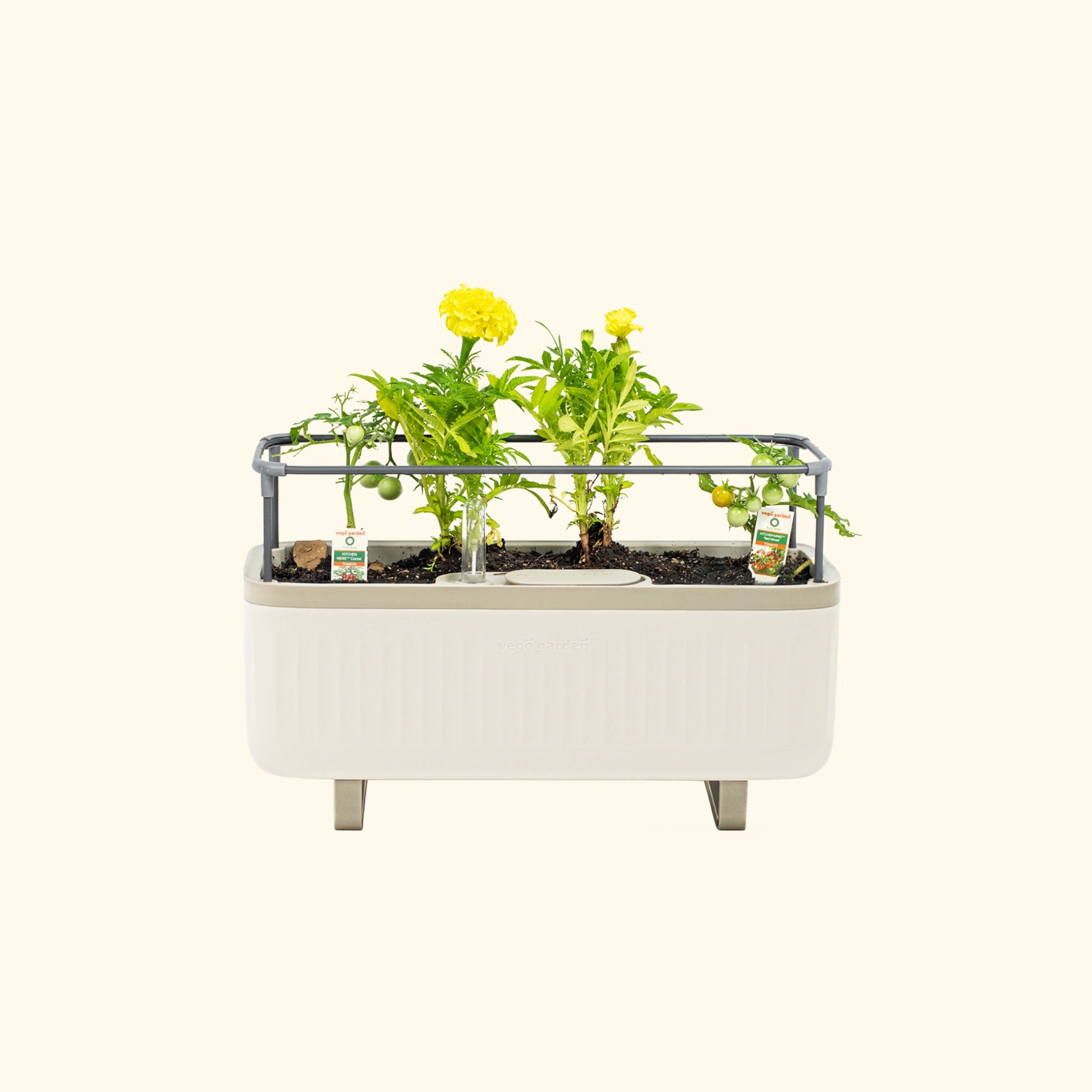 Self-Watering Herb Planter Box with Trellis