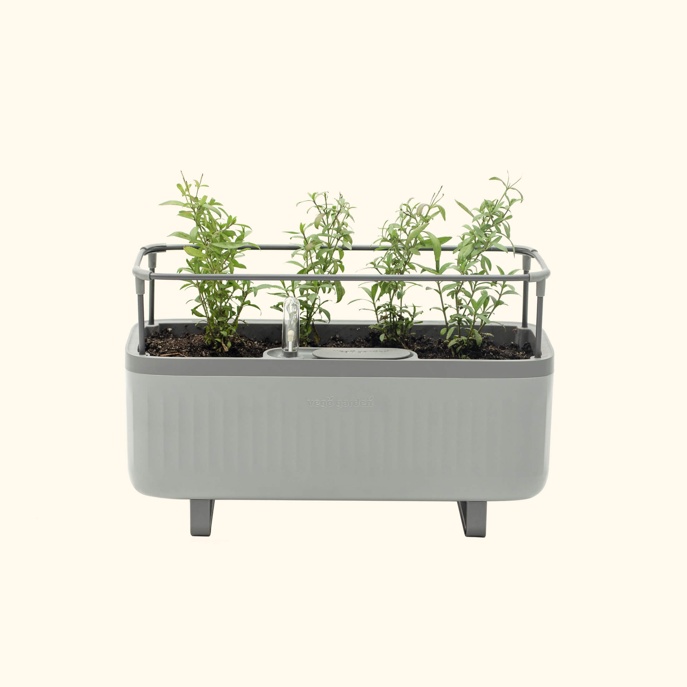 Self-Watering Herb Planter Box with Trellis