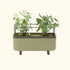 Self-Watering Herb Planter Box with Trellis