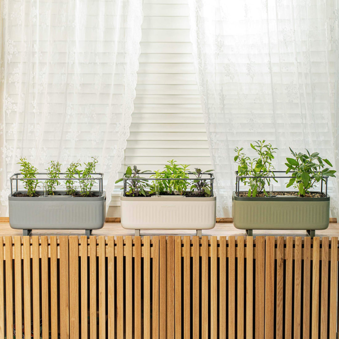 vego-garden-Self-Watering-Herb-Planter-Box-with-Trellis