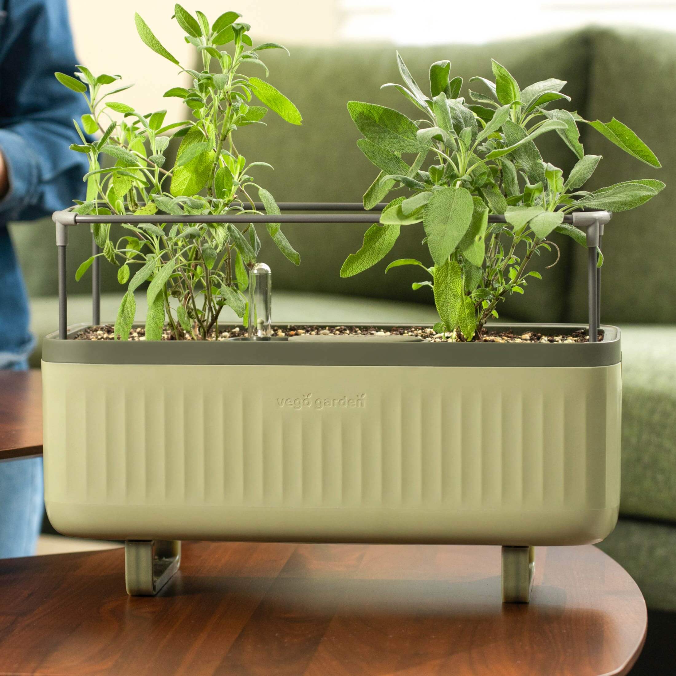 Self-Watering Herb Planter Box with Trellis