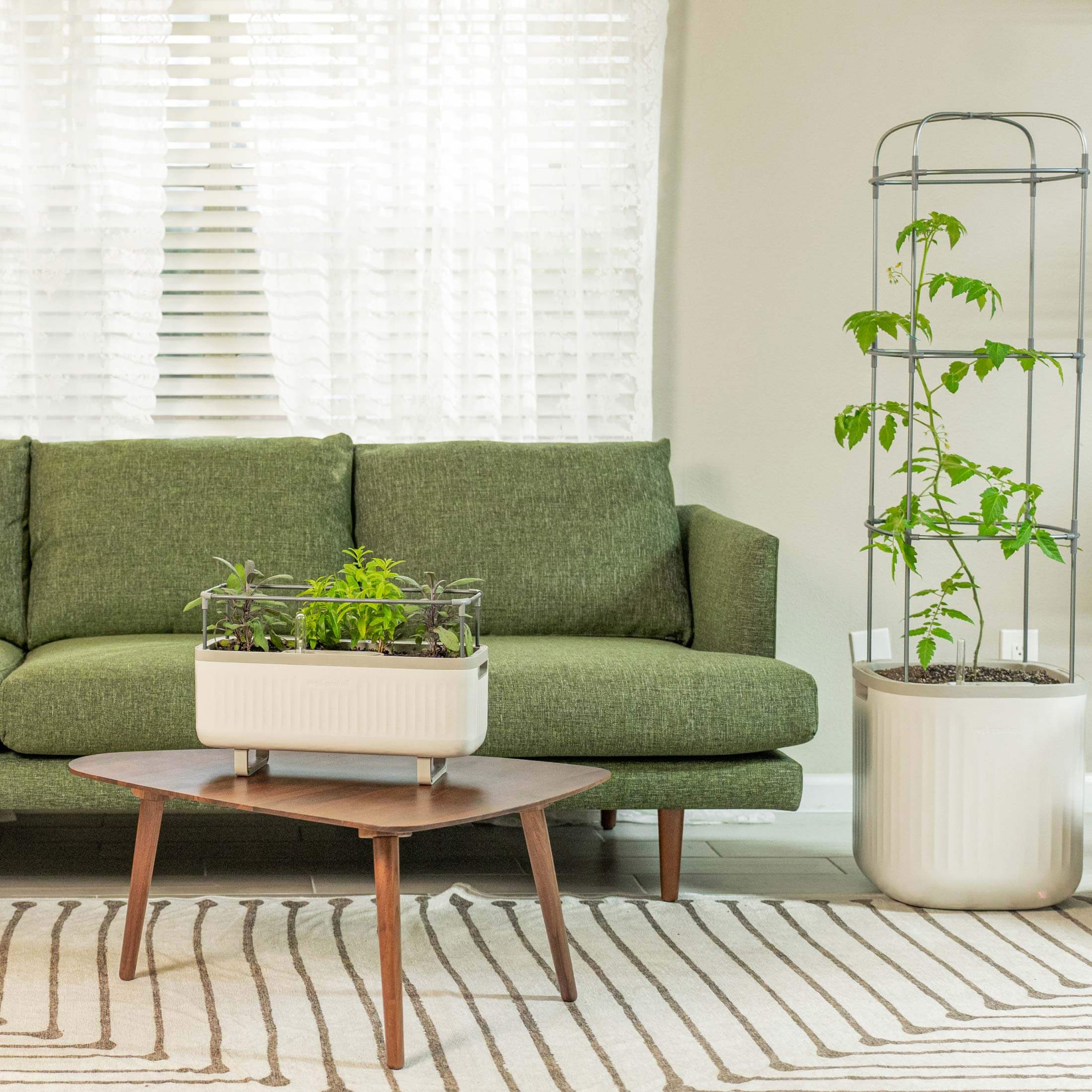 Self-Watering Herb Planter Box with Trellis