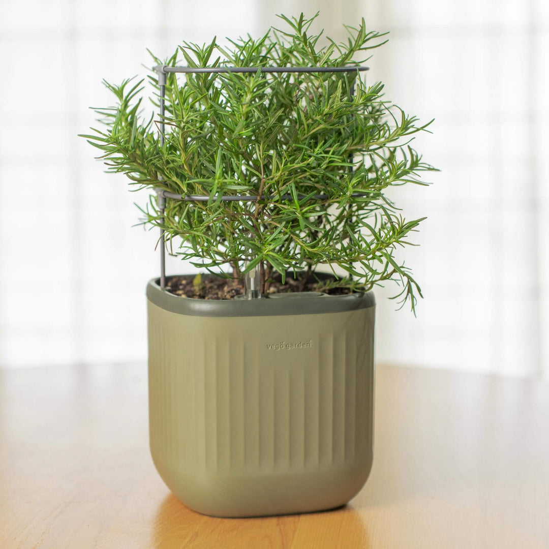 vego-garden-Self-Watering-Mini-Planter-Pot-with-Trellis