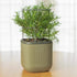 Self-Watering Mini Planter Pot with Trellis