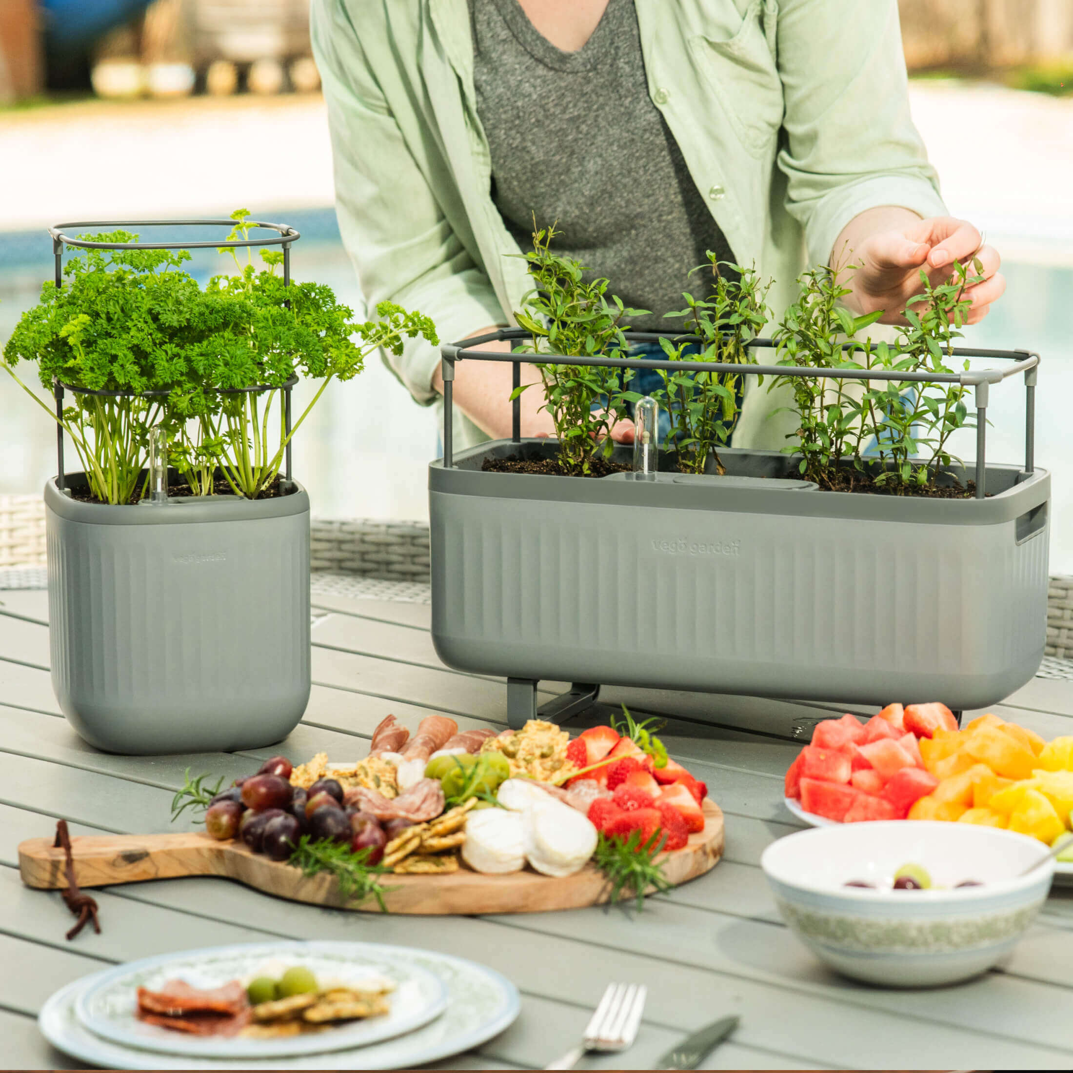 Self-Watering Mini Planter Pot with Trellis