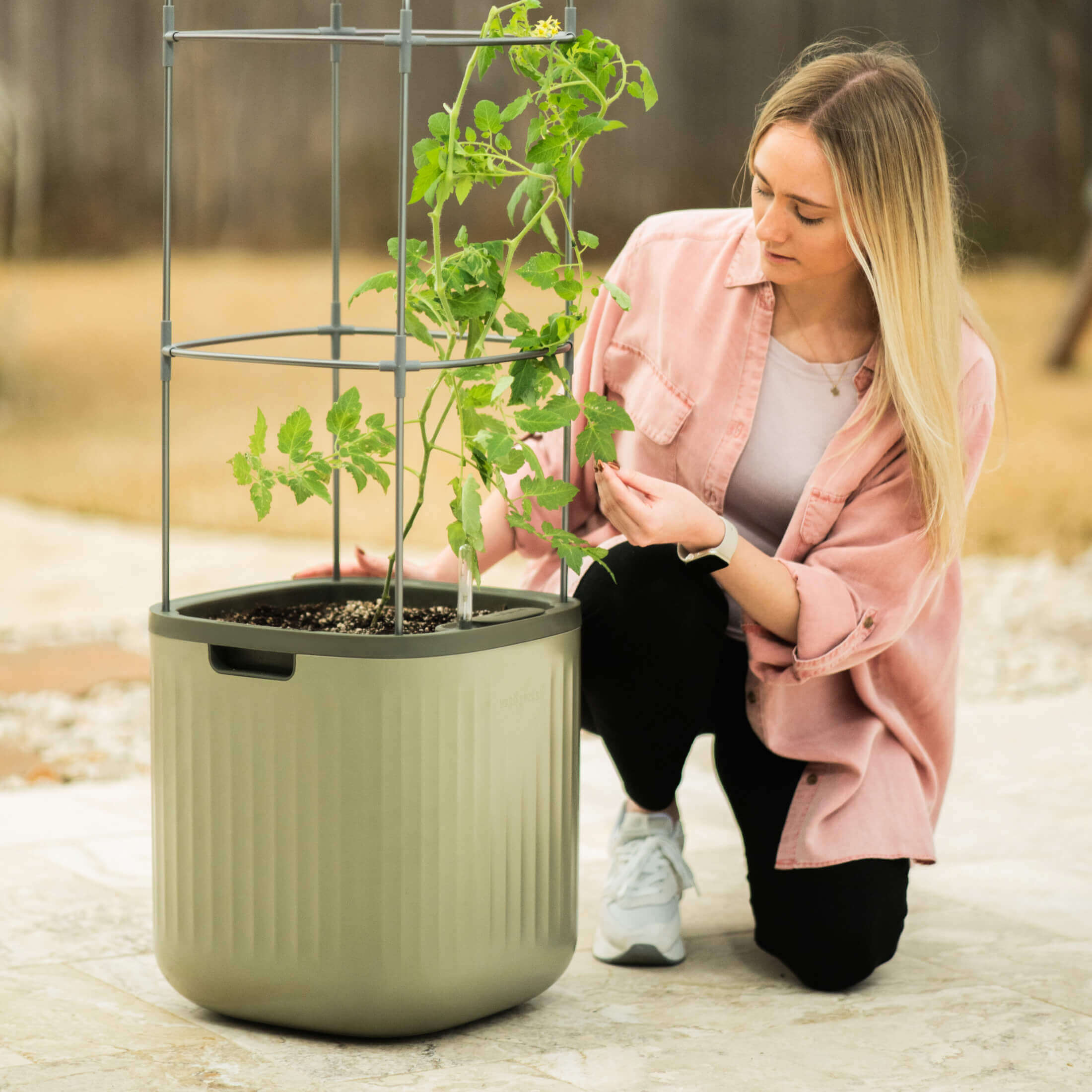 Rolling Self Watering Patio / Indoor Planter with Trellis