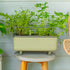 Self-Watering Herb Planter Box with Trellis