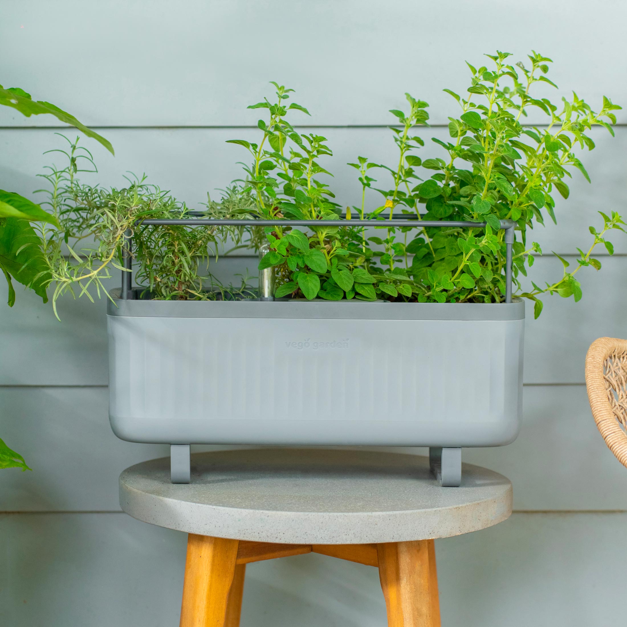 Self-Watering Herb Planter Box with Trellis