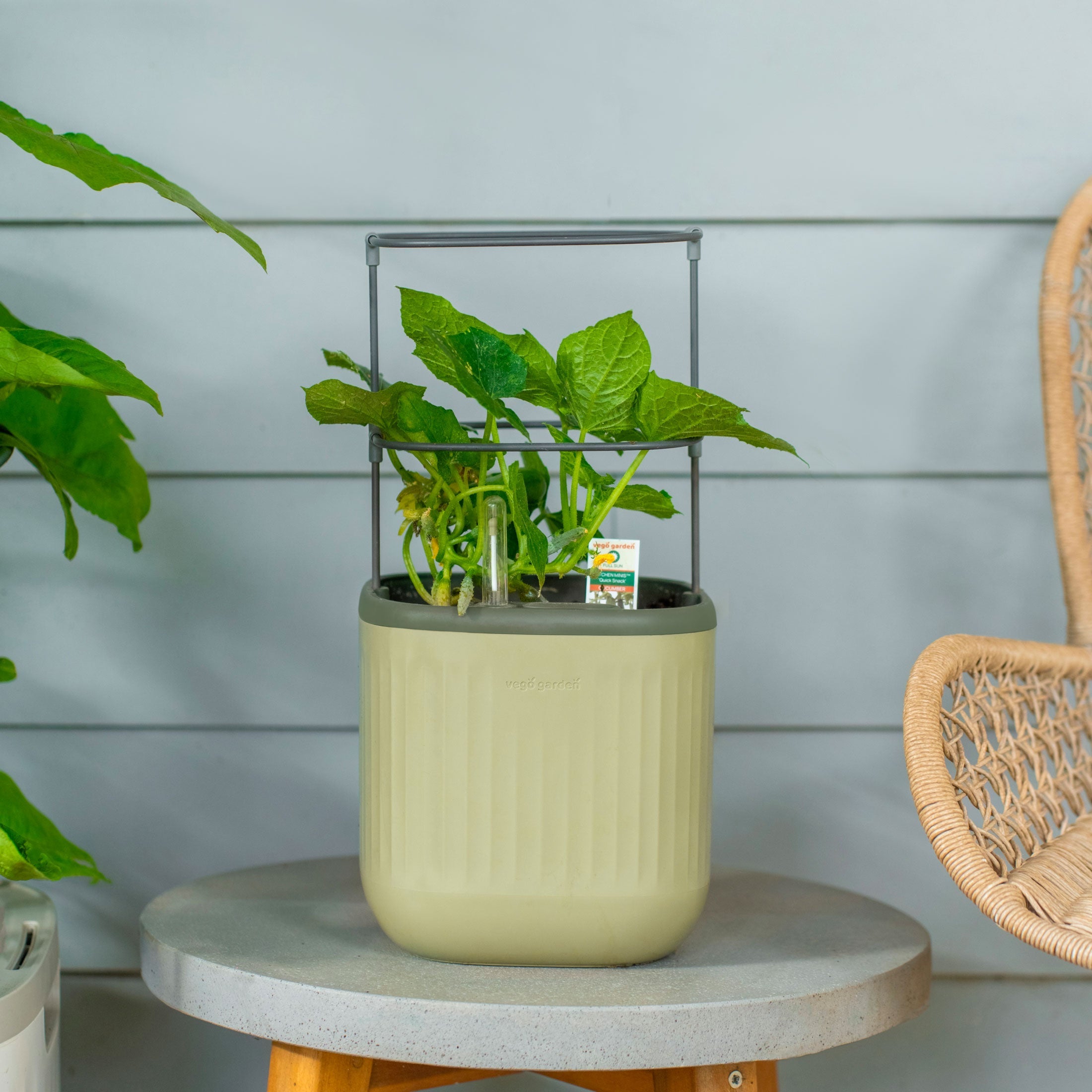 Self-Watering Mini Planter Pot with Trellis