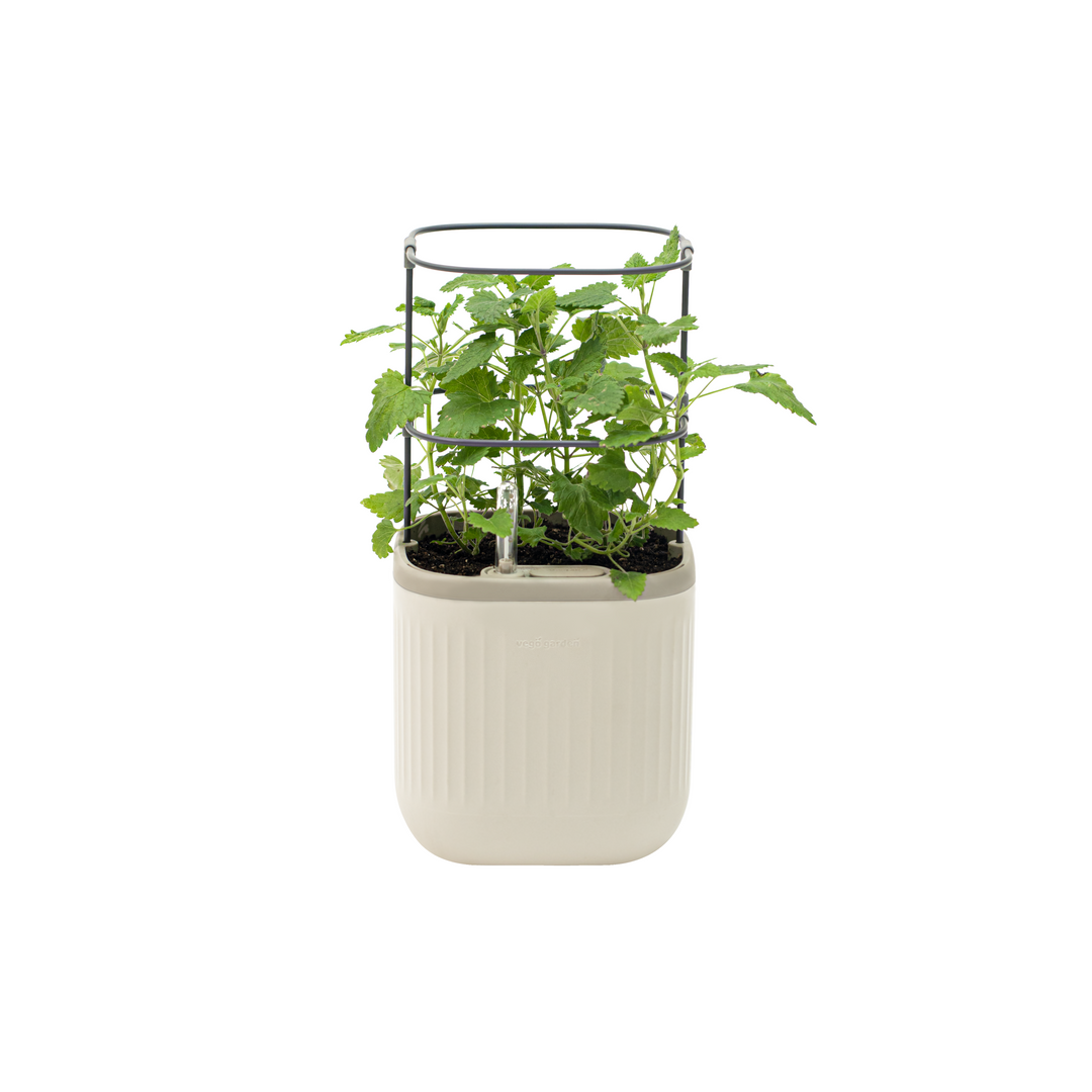 Self-Watering Mini Planter Pot with Trellis