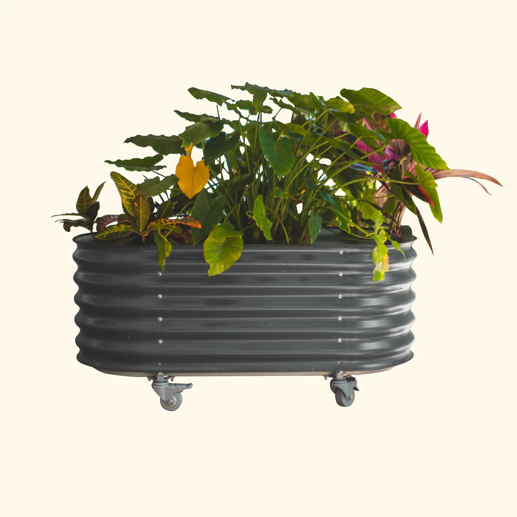 Self-Watering Rolling Garden Bed - 2' x 6'