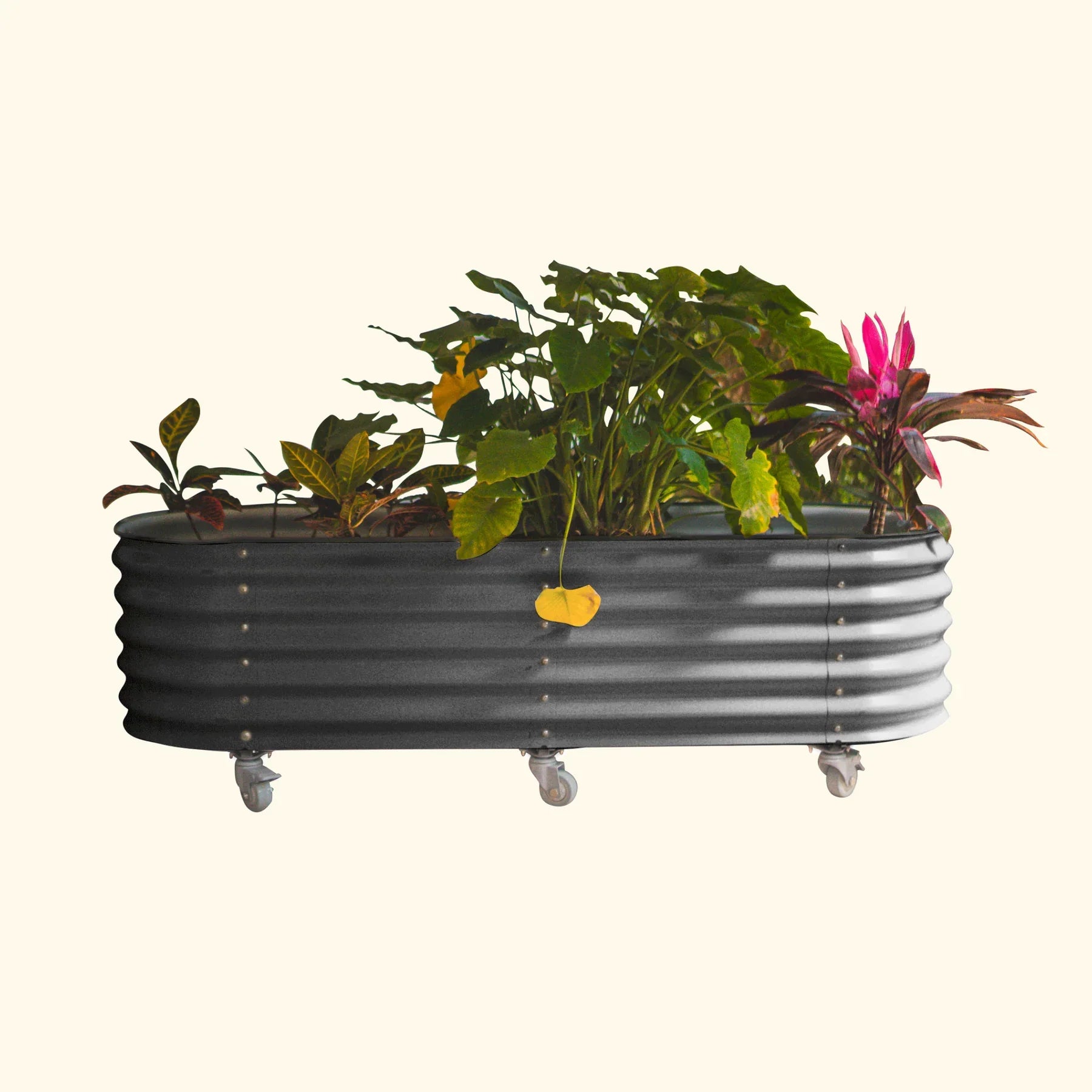 Self-Watering Rolling Garden Bed - 2' x 6'