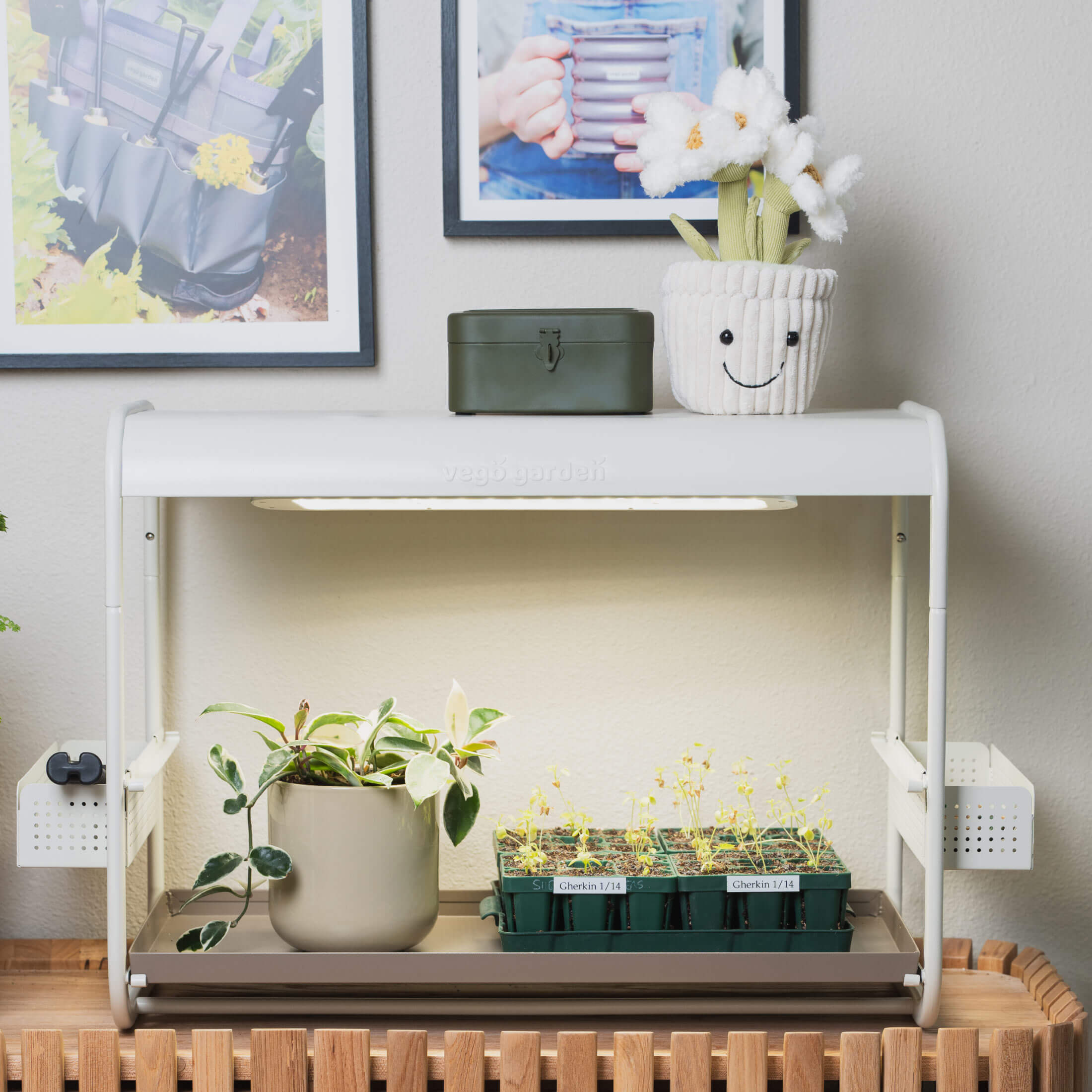 plant grow kit with light 1 Tier Tabletop Grow Light Garden