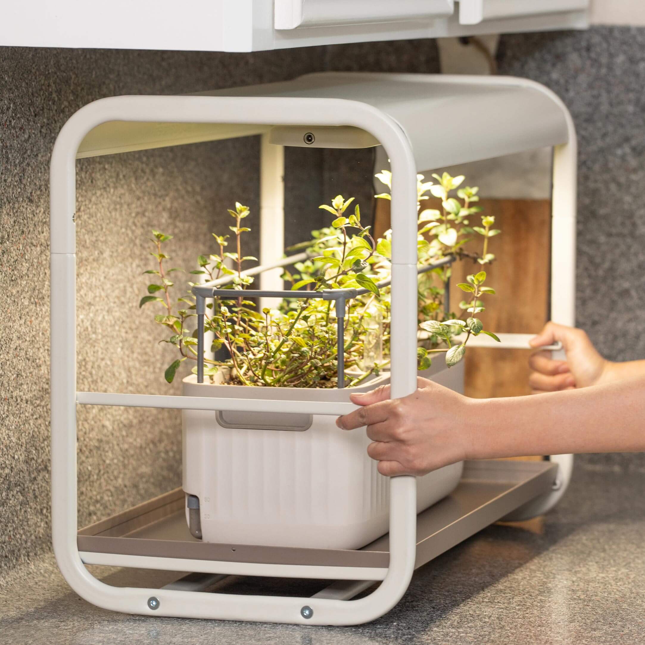 umbra giardino indoor herb planter 1 Tier Tabletop Grow Light Garden