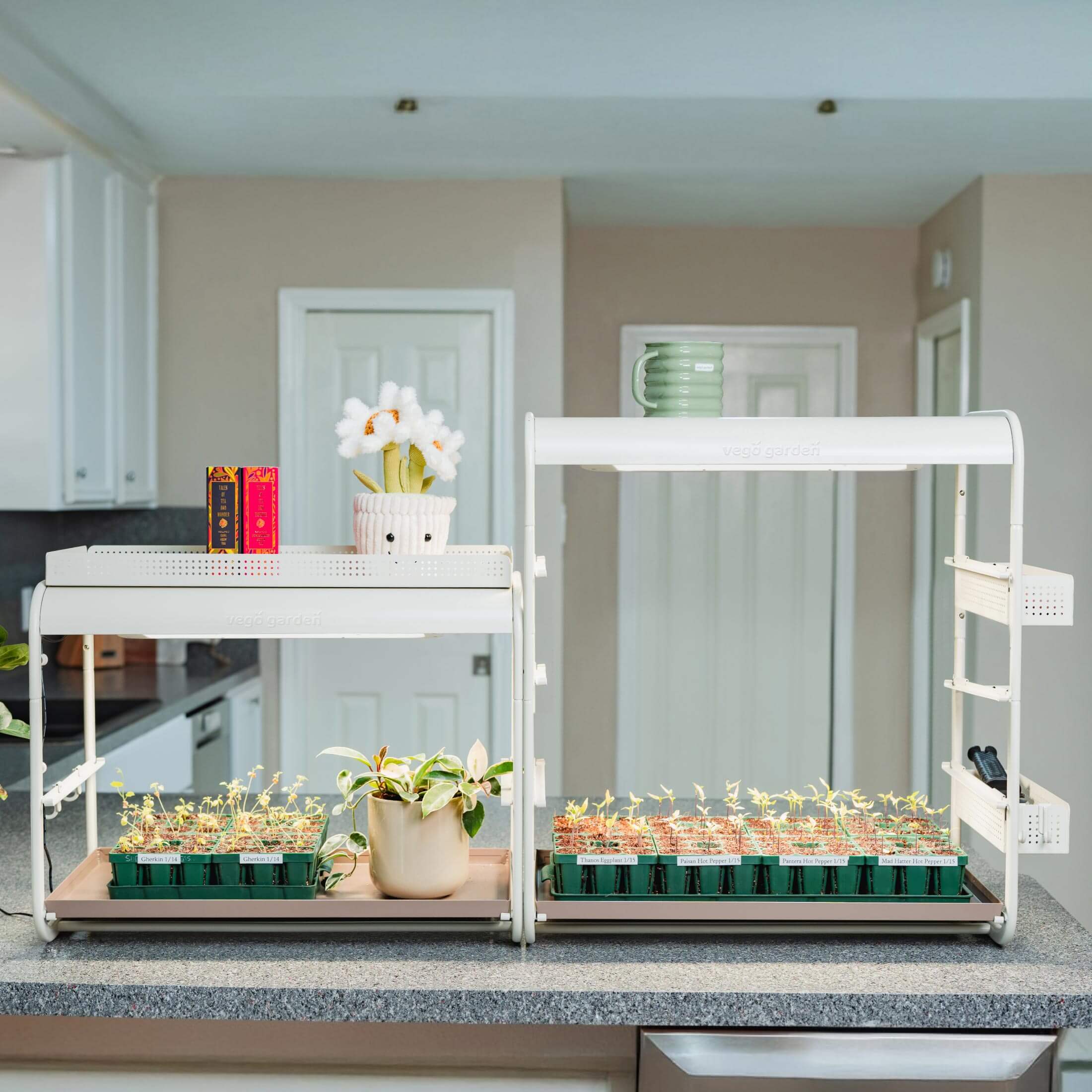 indoor plant grow light systems 1 Tier Tabletop Grow Light Garden