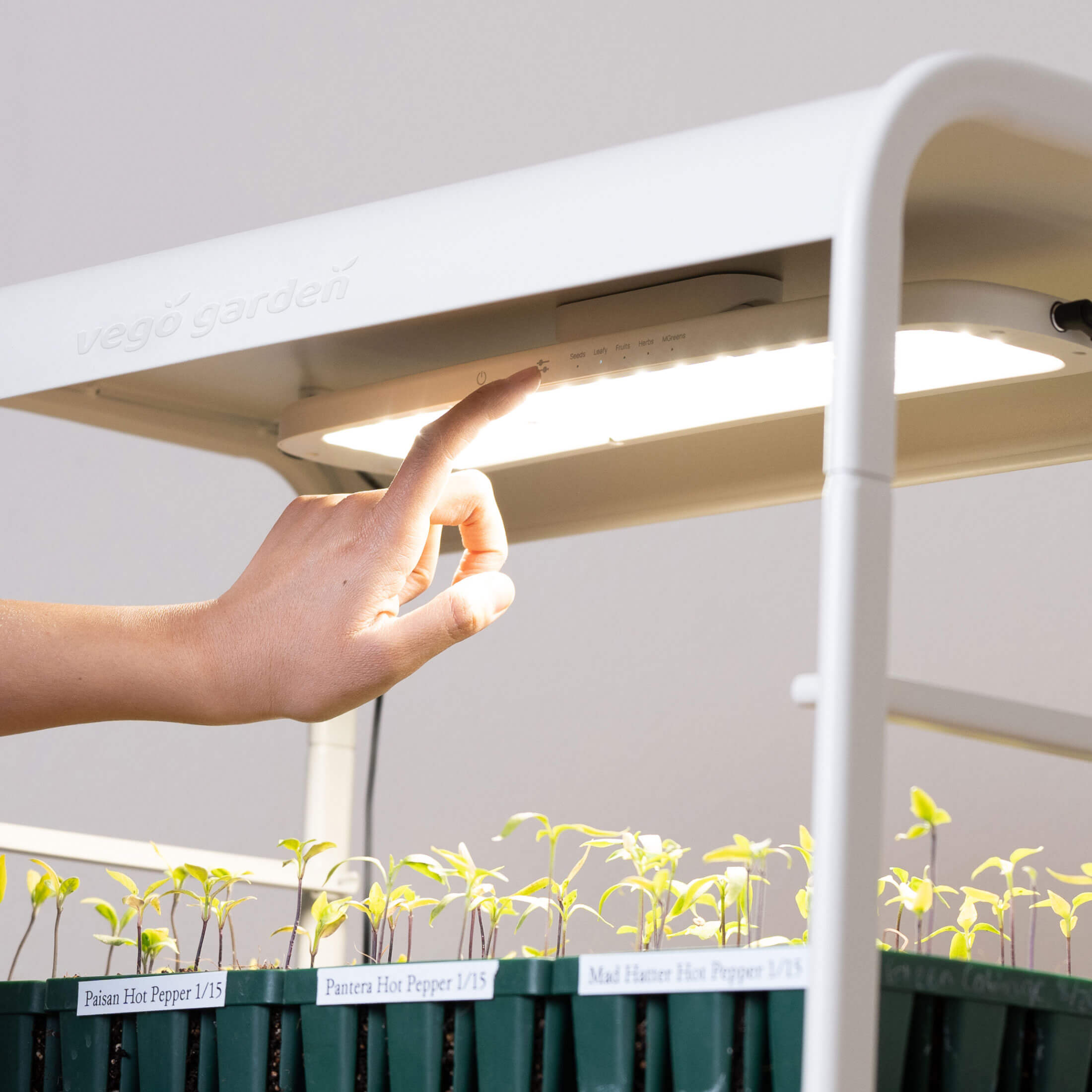 best led grow light for 2 plants 2 Tier Tabletop Grow Light Garden