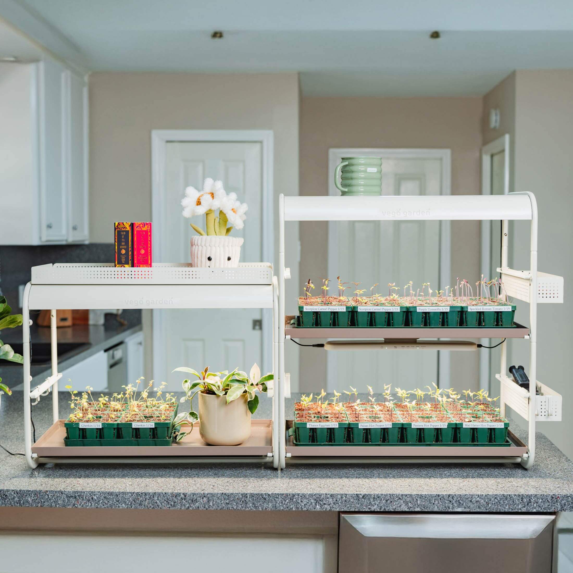 table top grow lights for plants 2 Tier Tabletop Grow Light Garden