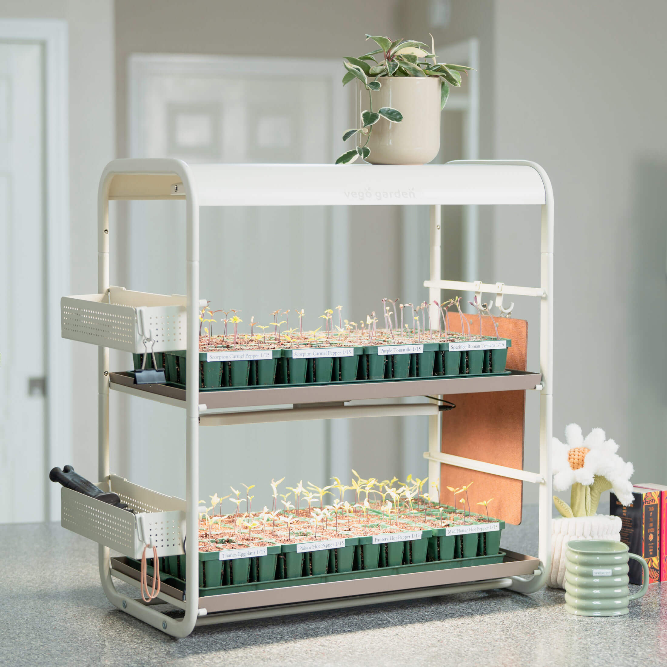 tabletop grow lights for plants 2 Tier Tabletop Grow Light Garden