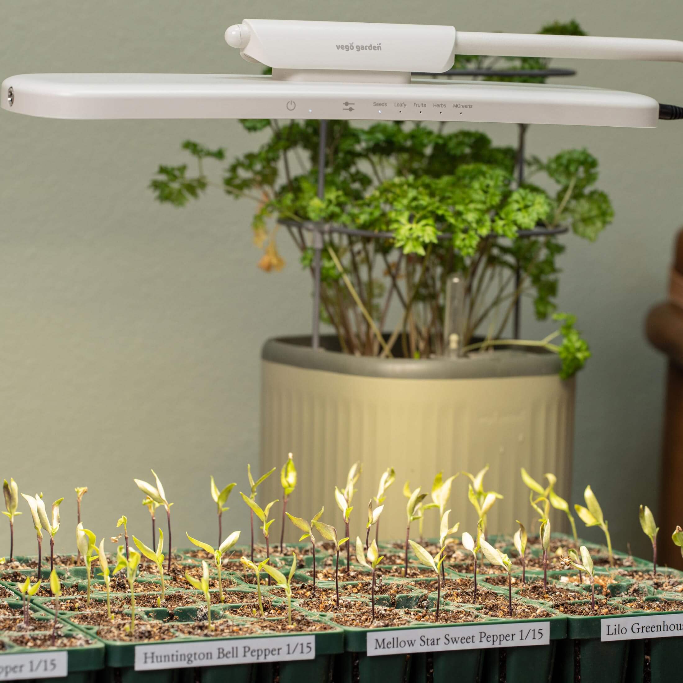 indoor greenhouse plant stand Grow Light Stand