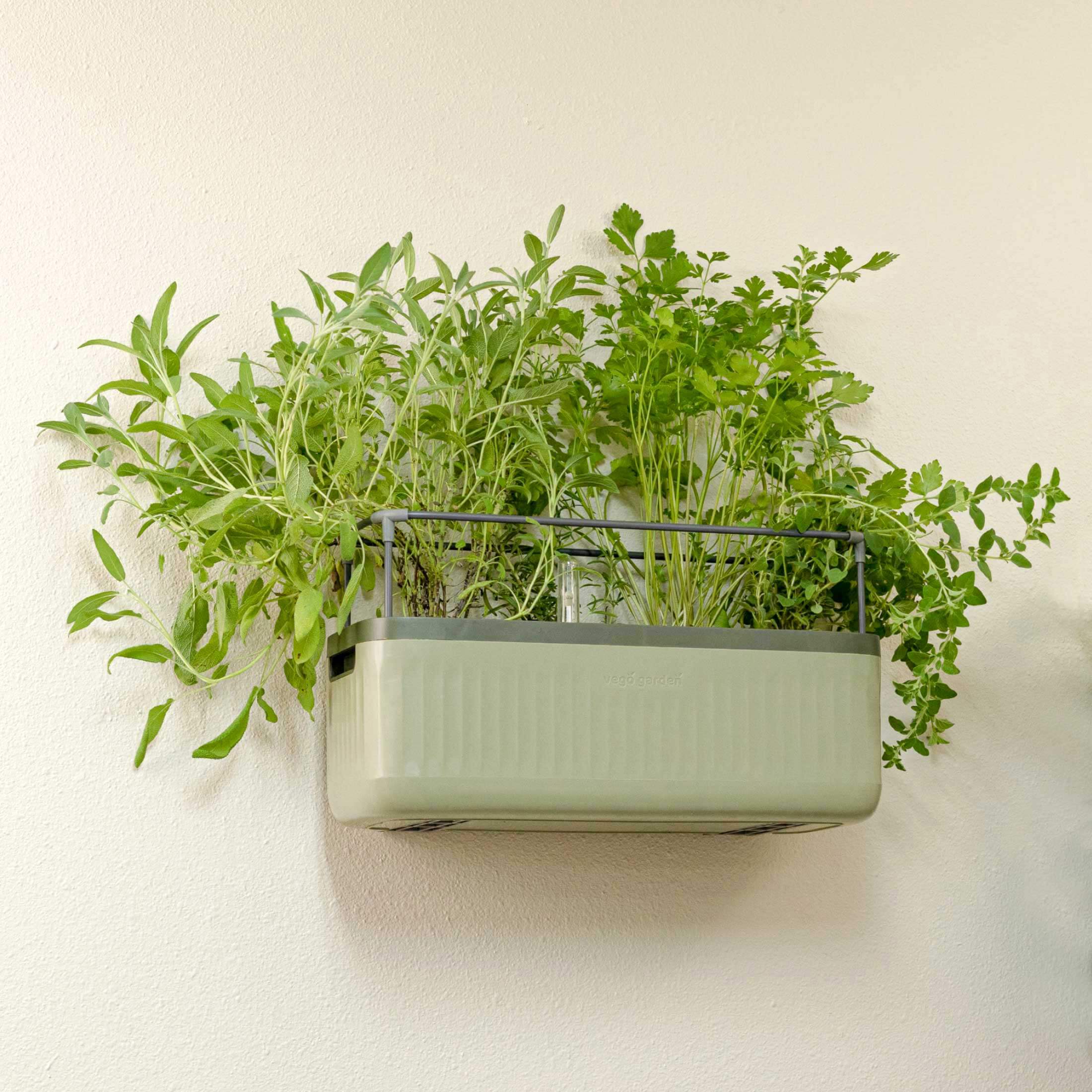 outdoor wall rack for plants Planter Wall Mount Kit, 2 Pack