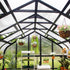 Vego Pacific Greenhouse - 10.5ft Wide - Team Grow