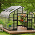 Vego Pacific Greenhouse - 10.5ft Wide - Team Grow