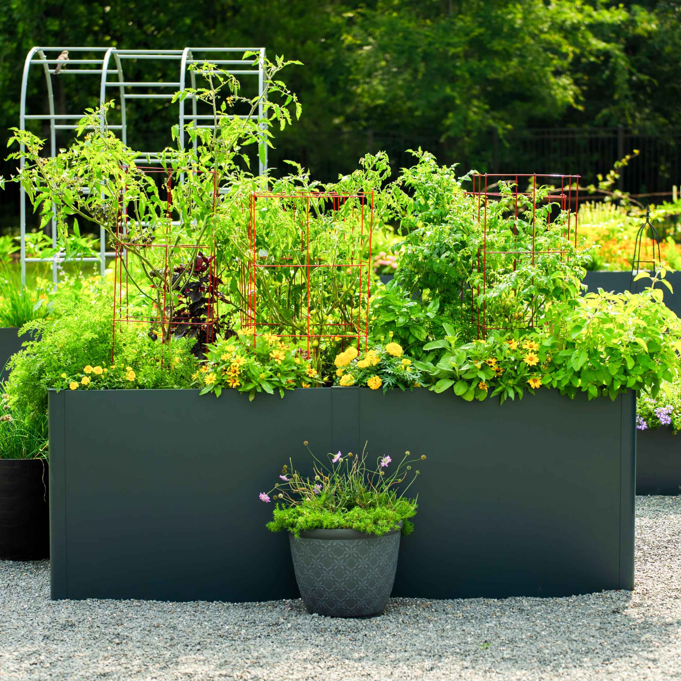 Vego Soil - Saving Intermediate Floor For Modern Garden Bed - Team Grow