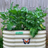 Vego Sticker Kit - Team Grow